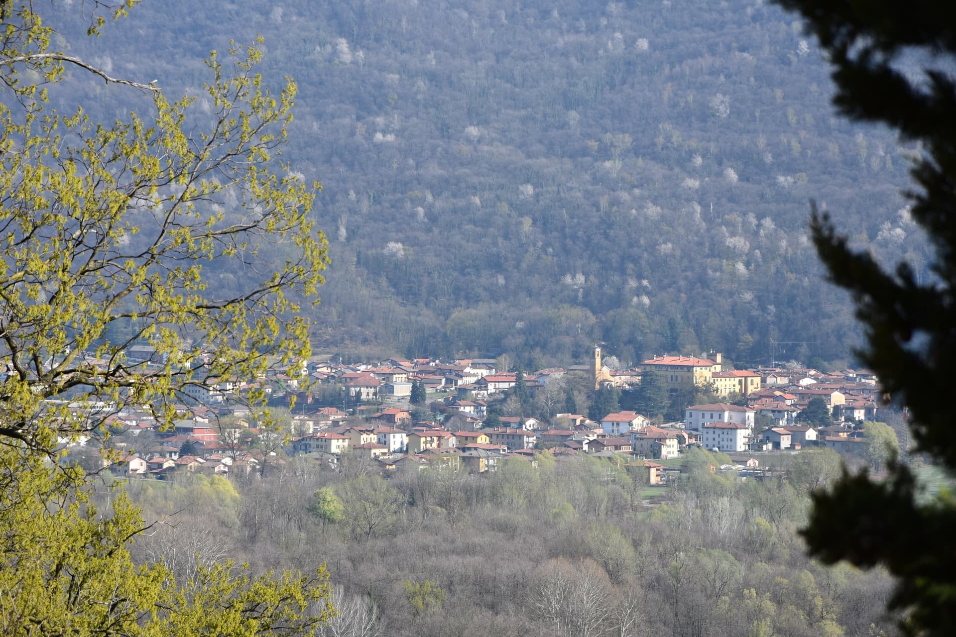Comune di Cuvio
