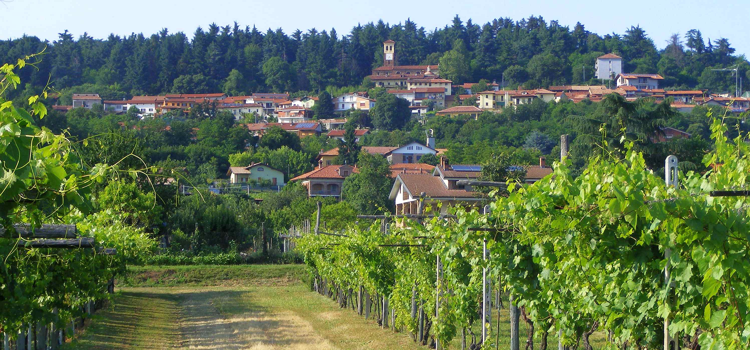 Comune di Orio Canavese