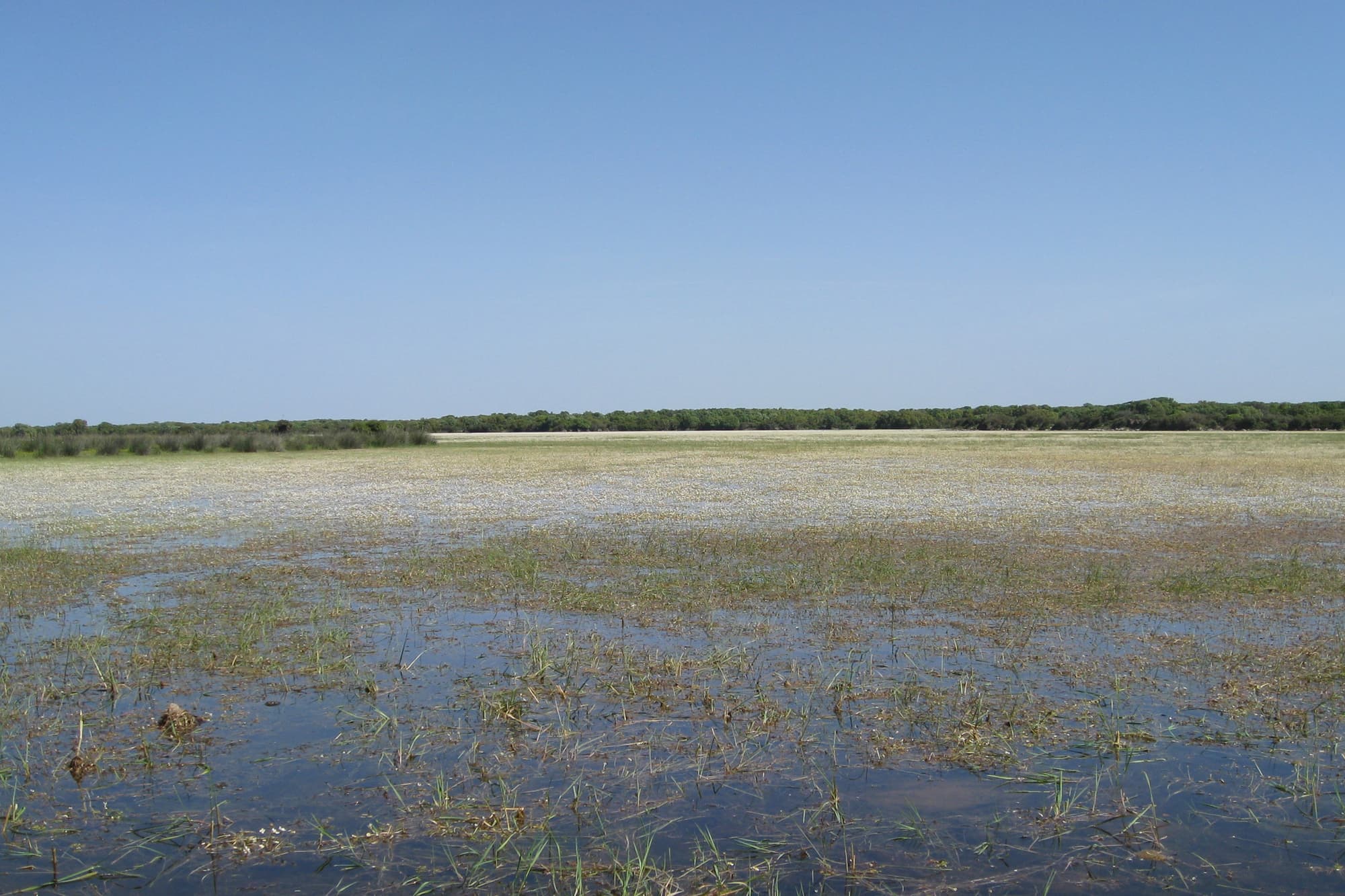 Comune di Palmas Arborea