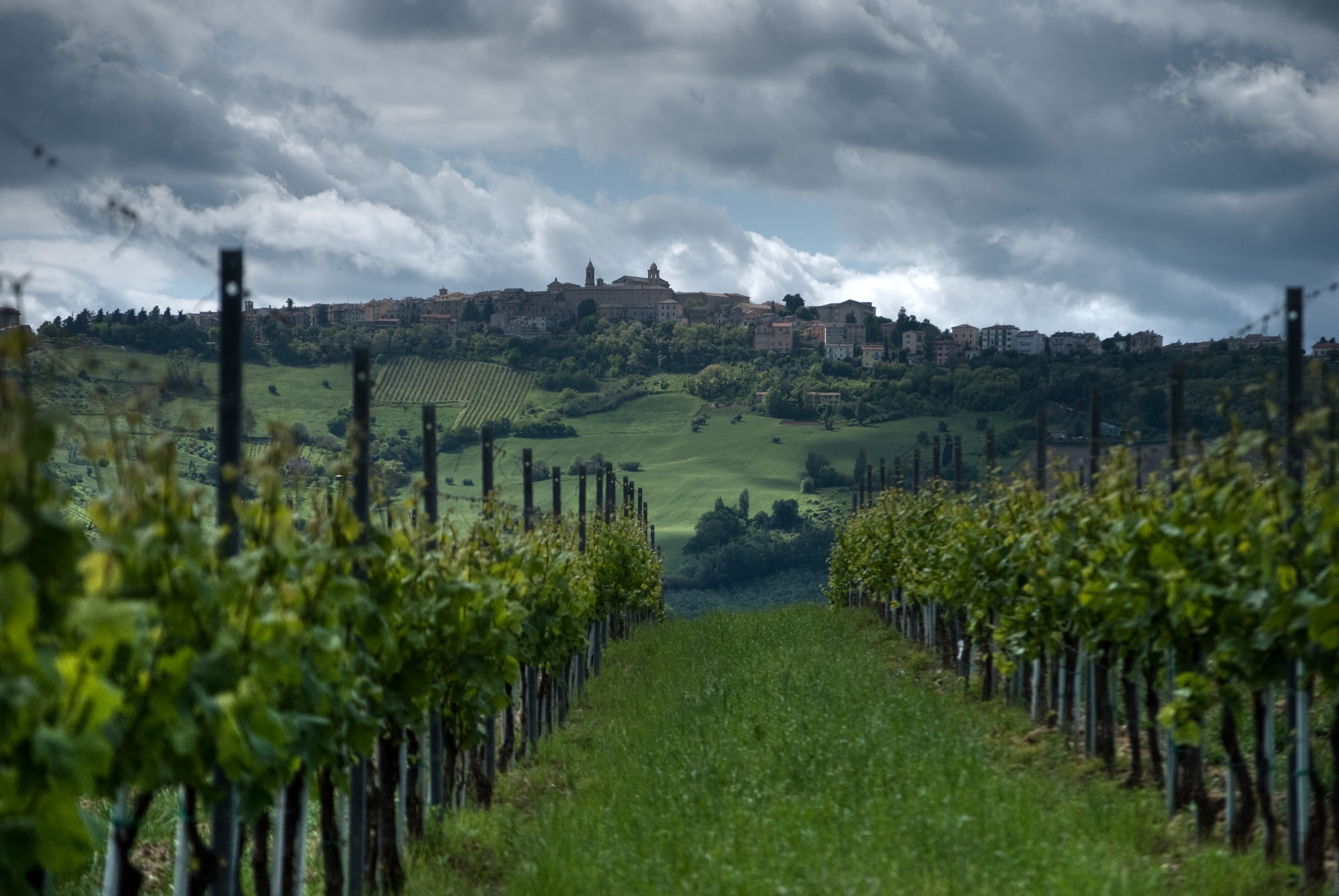 Comune di Cupramontana