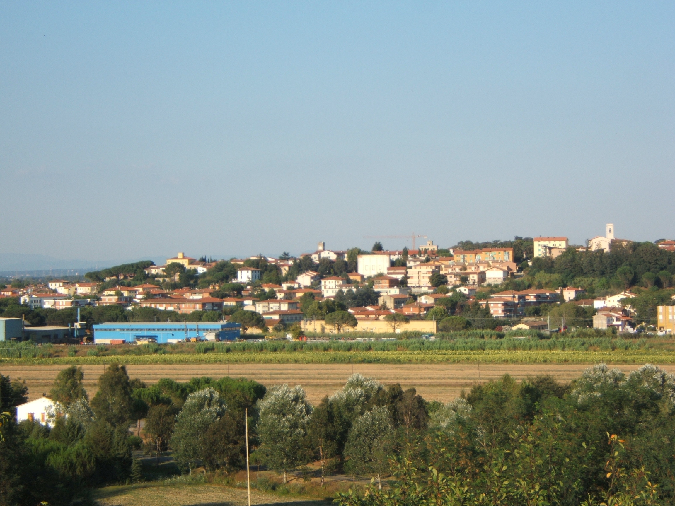 Comune di Collesalvetti