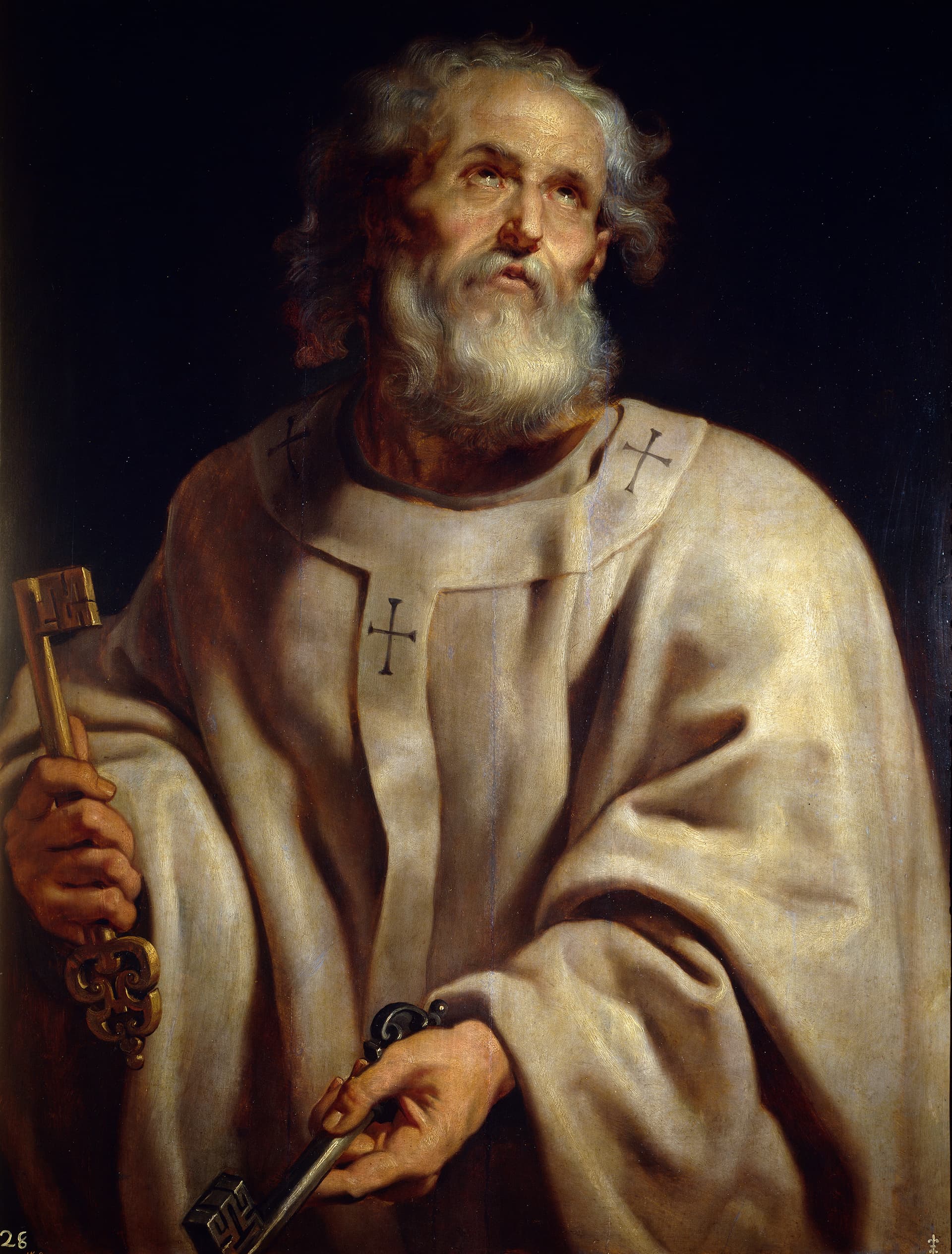 Comune di San Pietro Apostolo