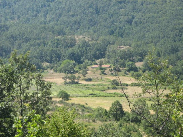 Comune di Valle dell'Angelo