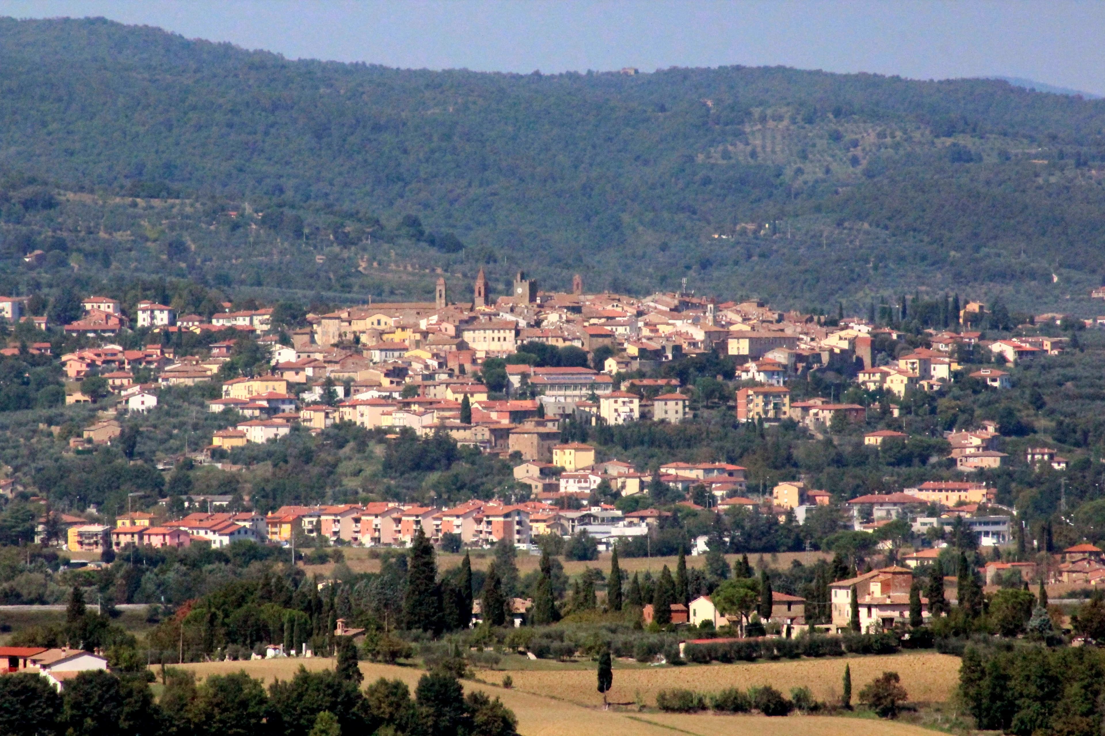 Comune di Monte San Savino
