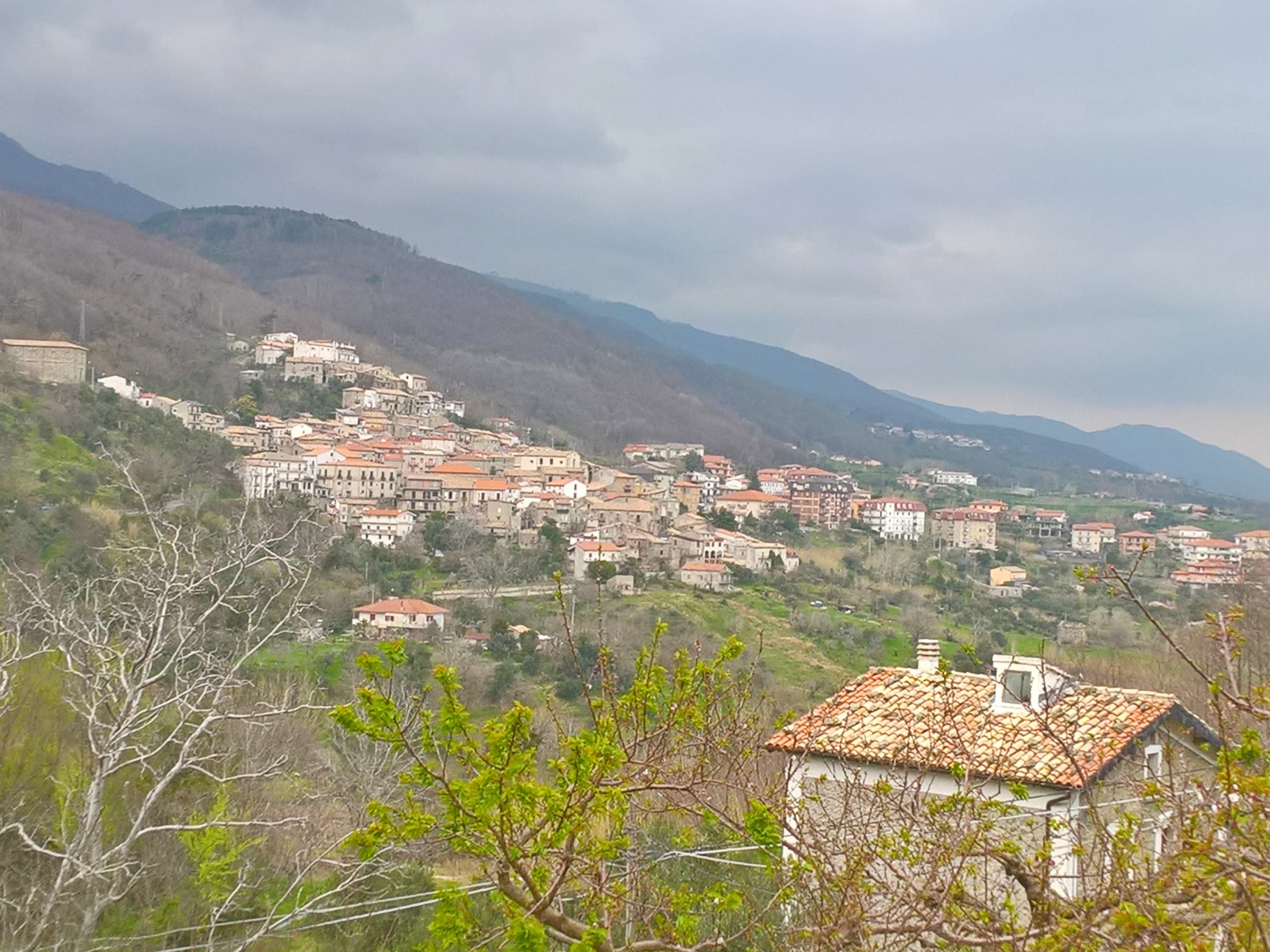 Comune di San Benedetto Ullano