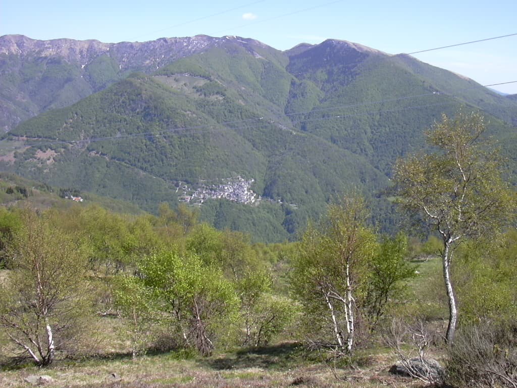 Comune di Curiglia con Monteviasco