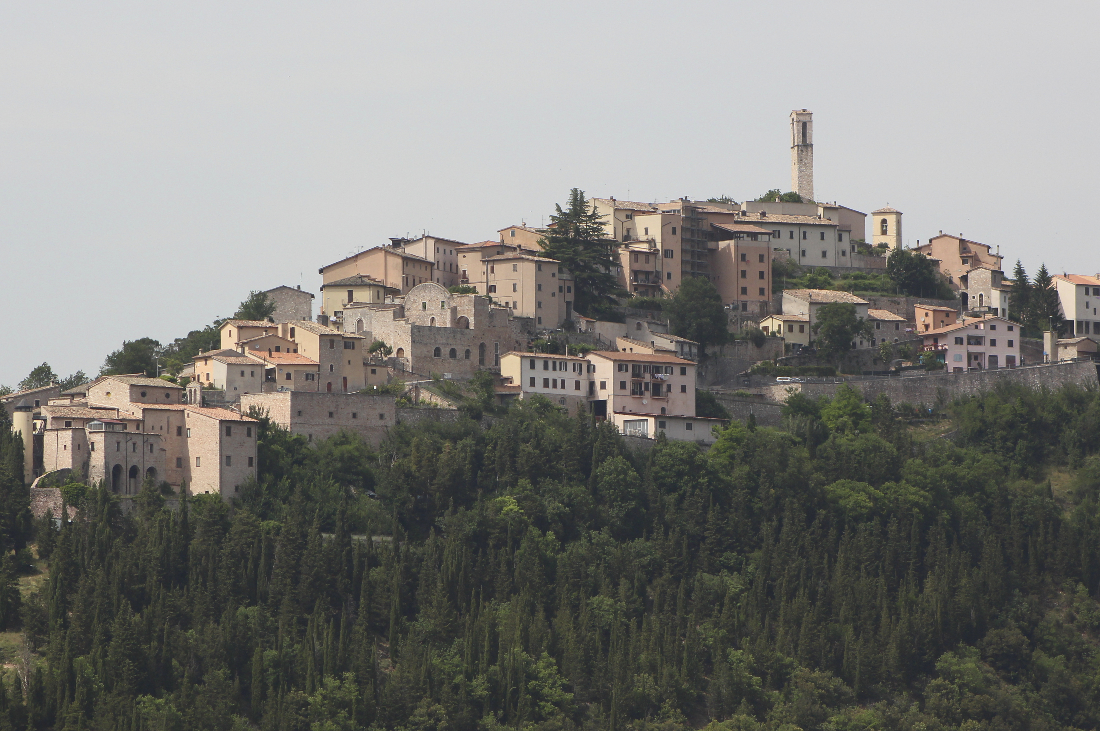 Comune di Cerreto di Spoleto
