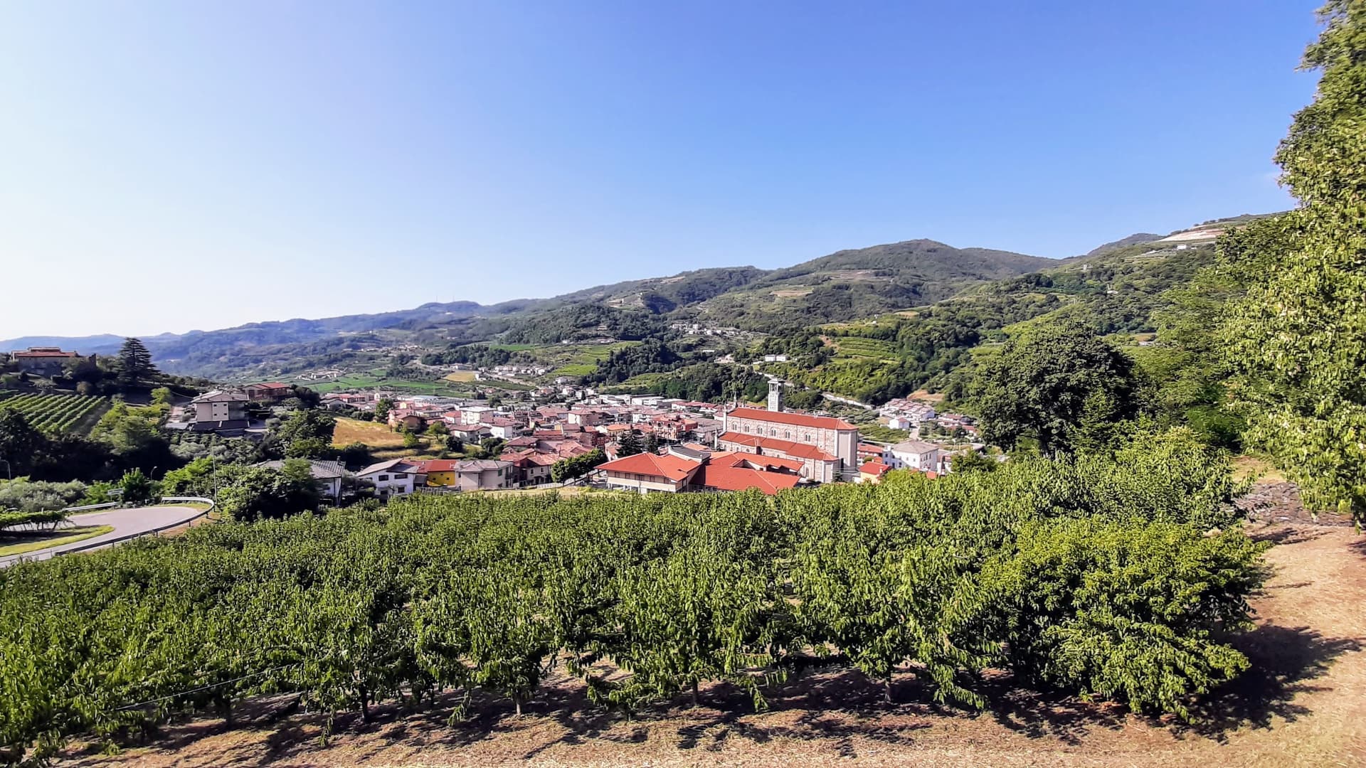 Comune di San Giovanni Ilarione