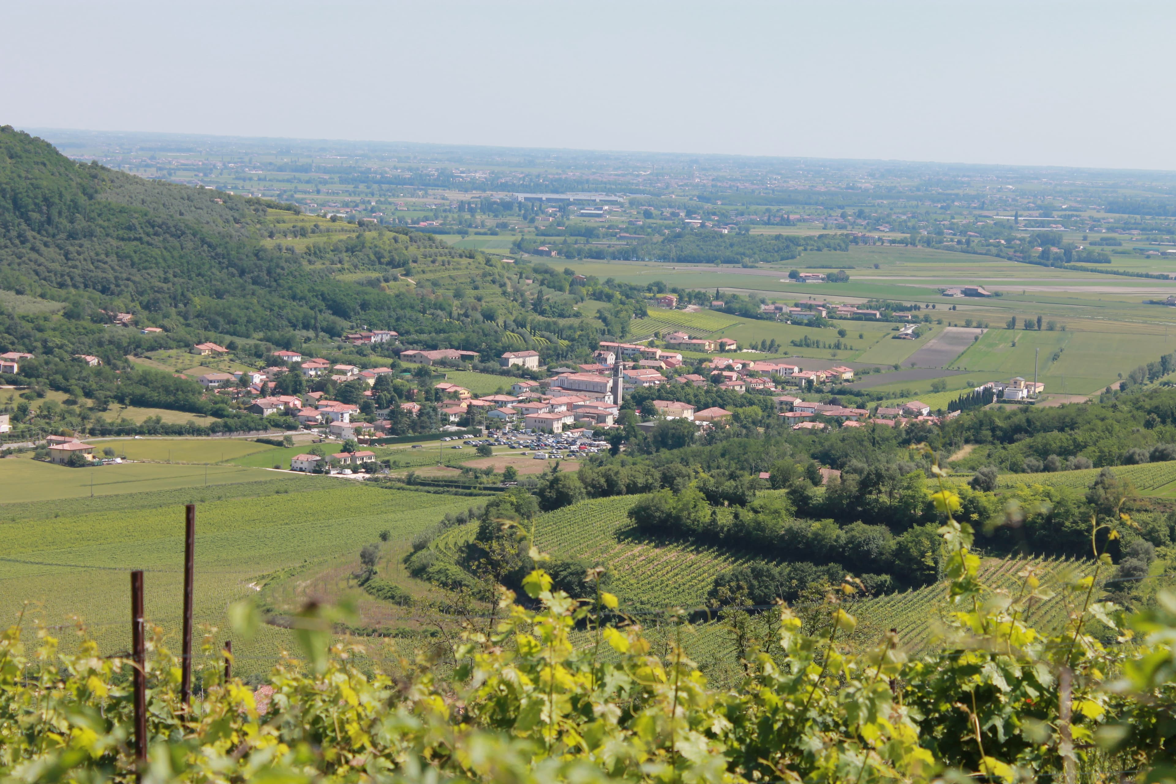 Comune di Baone