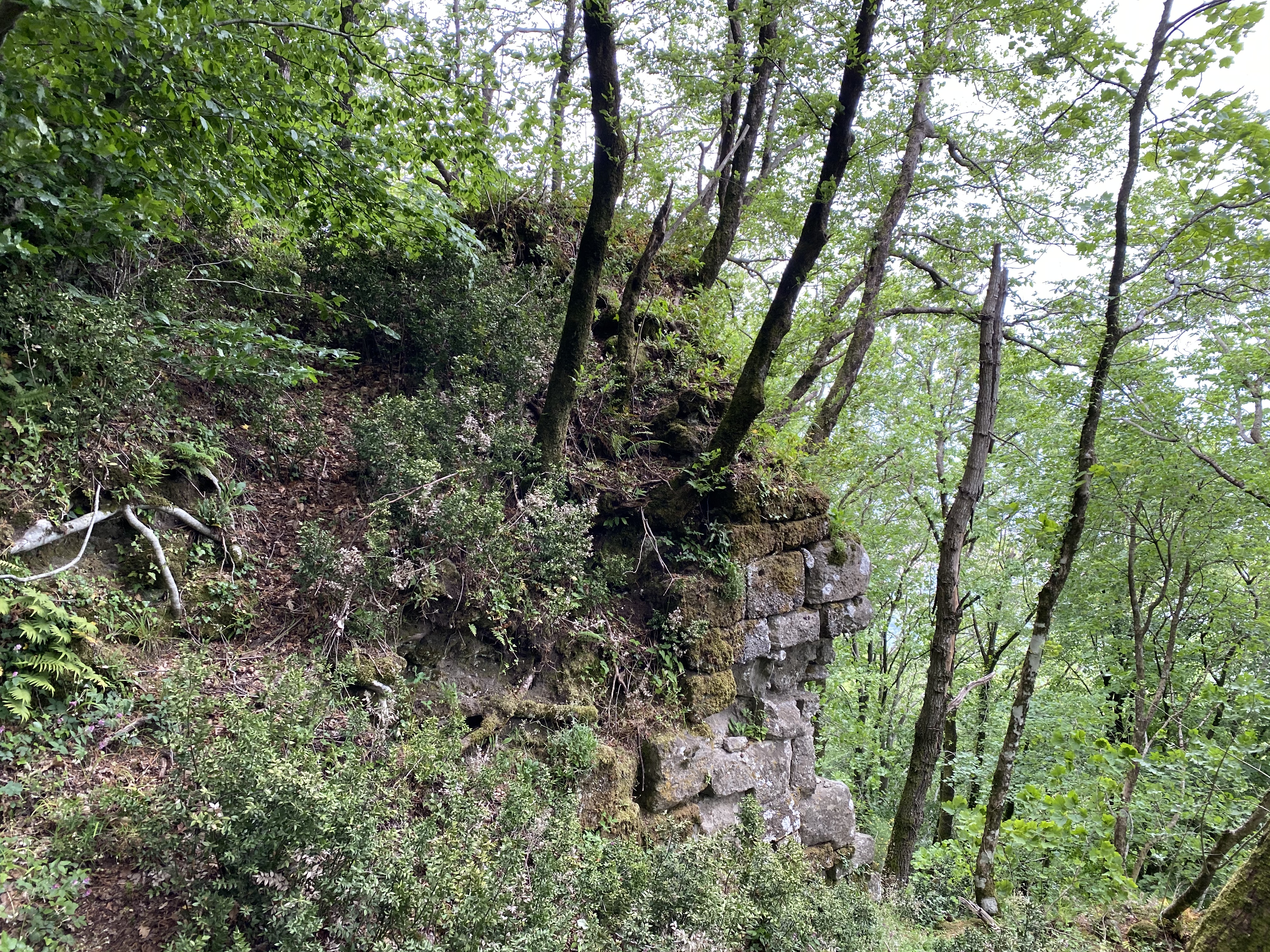 Comune di Lariano