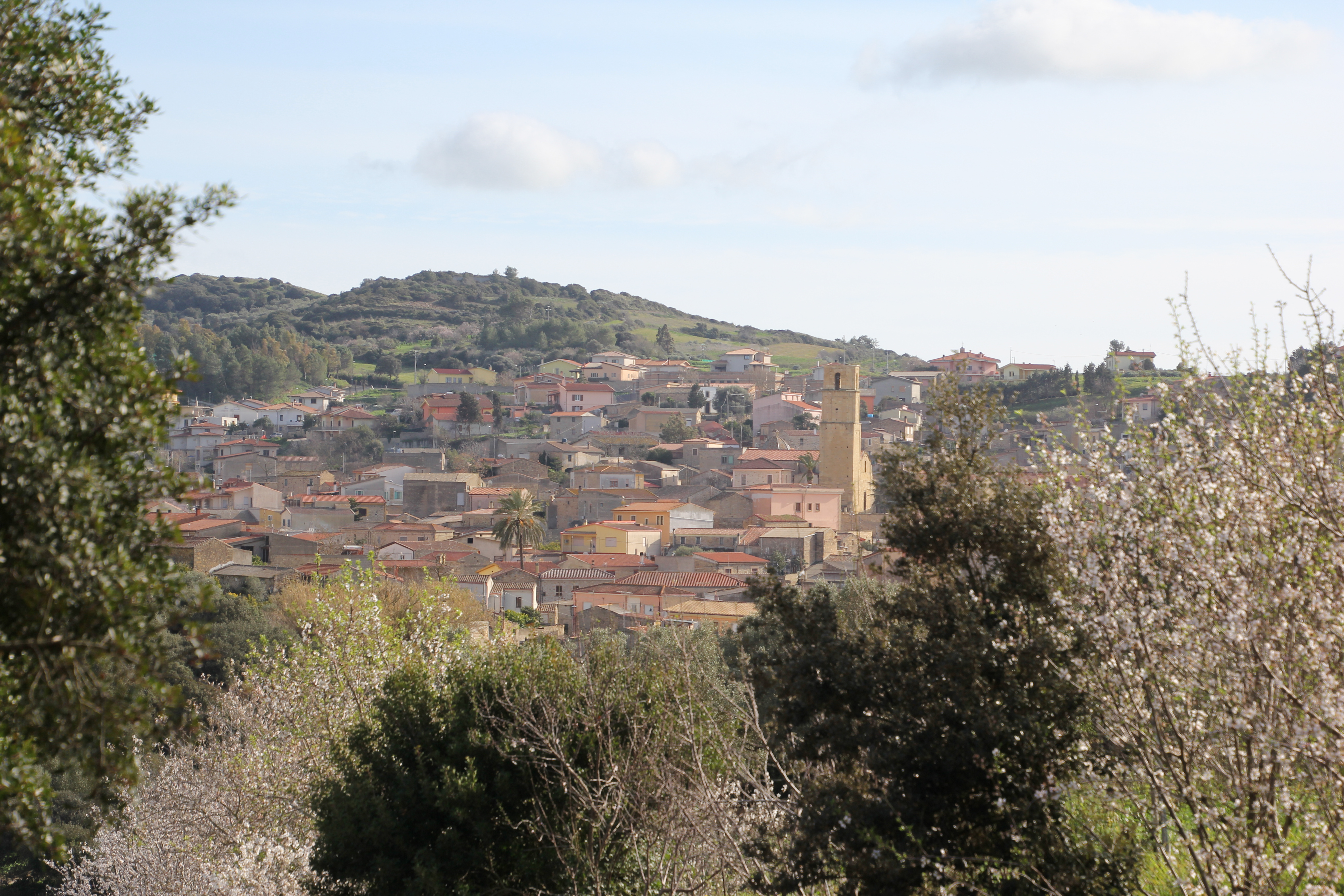 Comune di Collinas