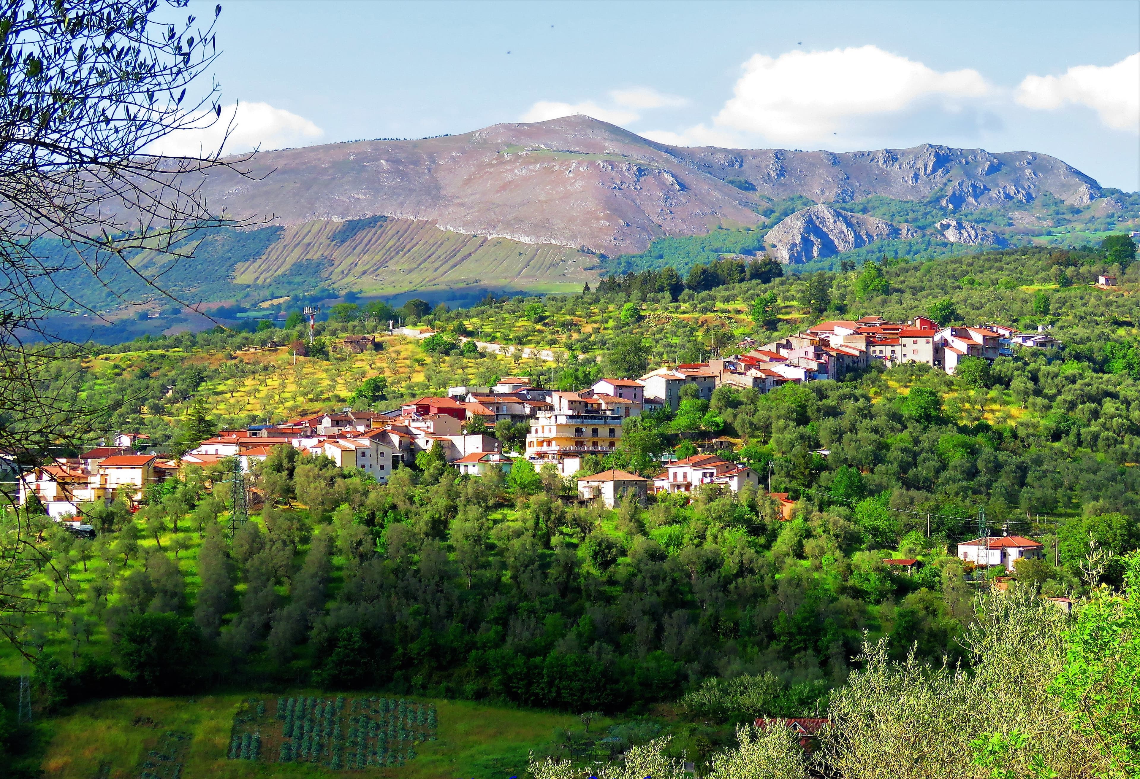 Comune di Pertosa