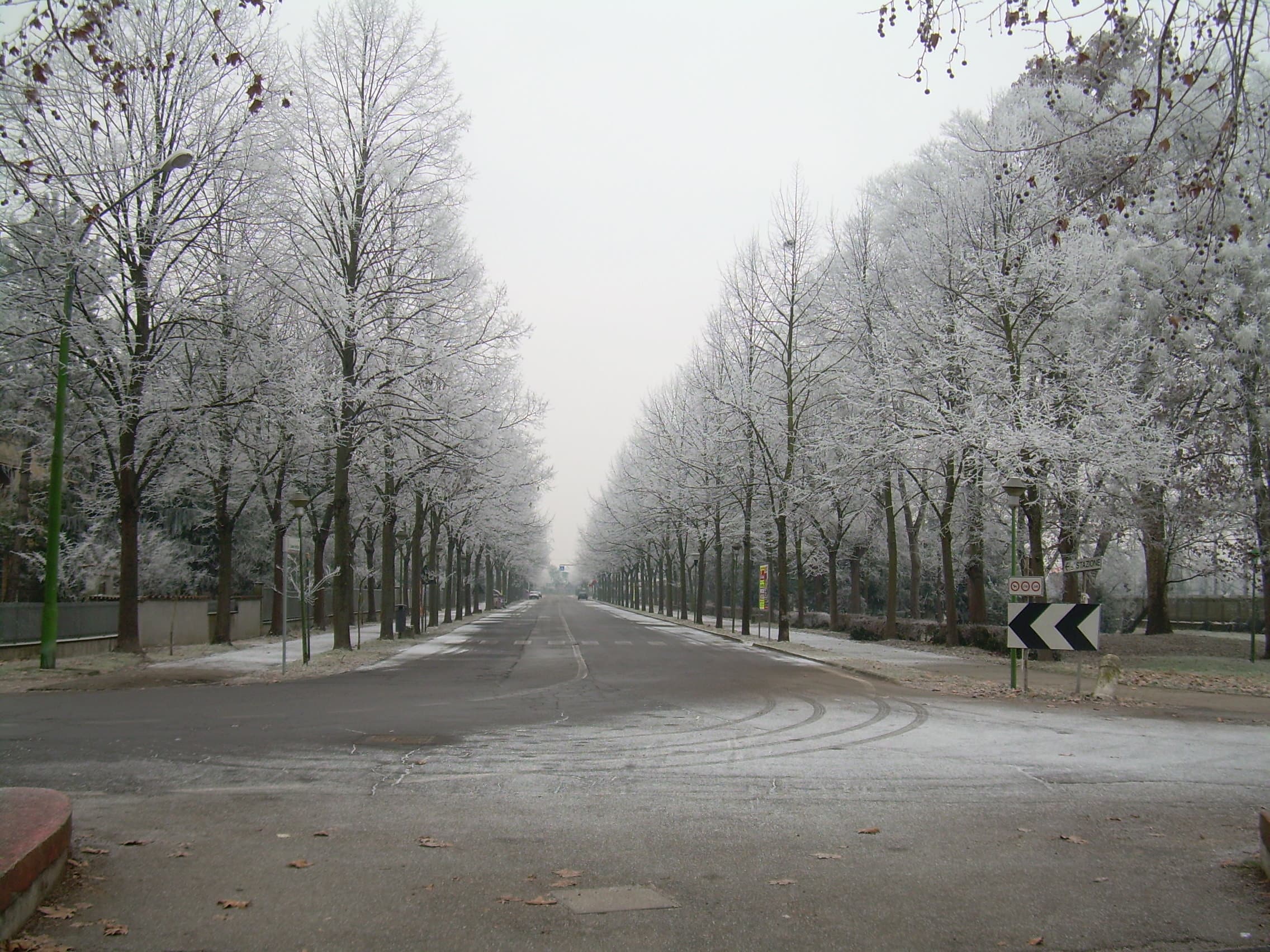 Comune di Portomaggiore
