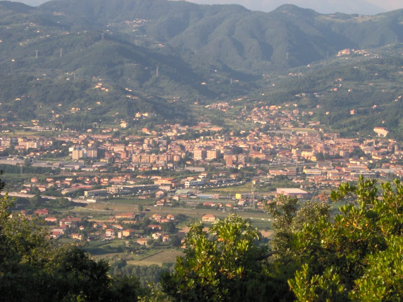 Comune di Sarzana
