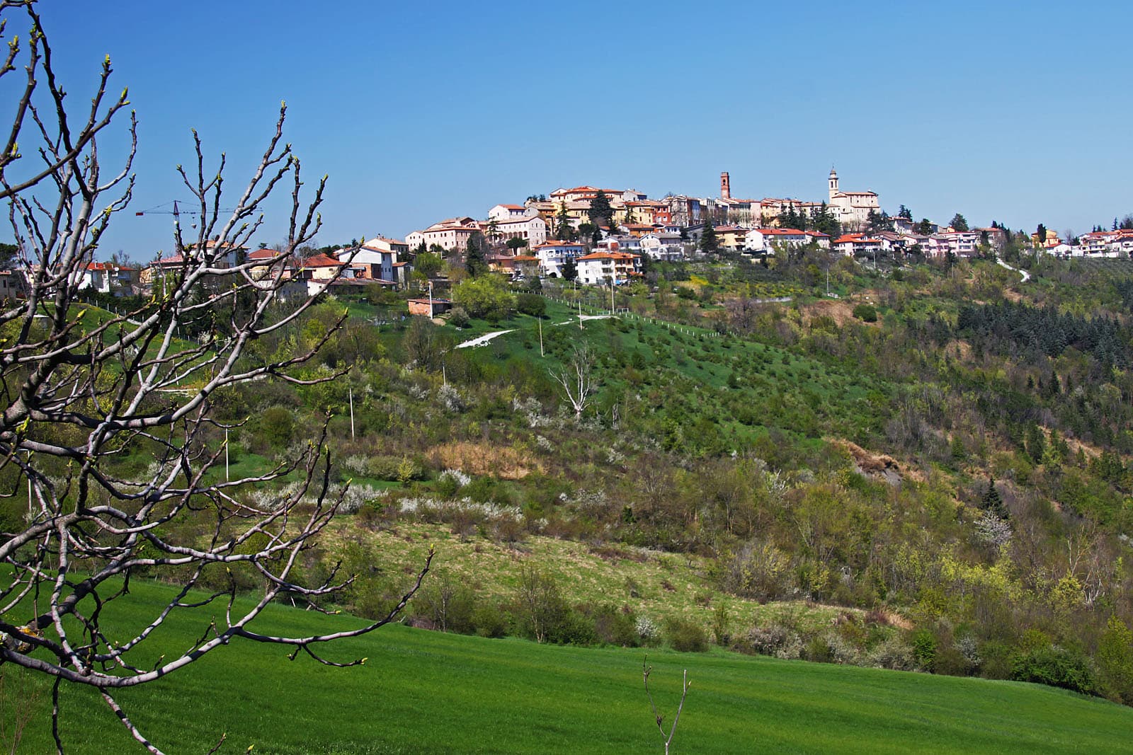 Comune di Sogliano al Rubicone
