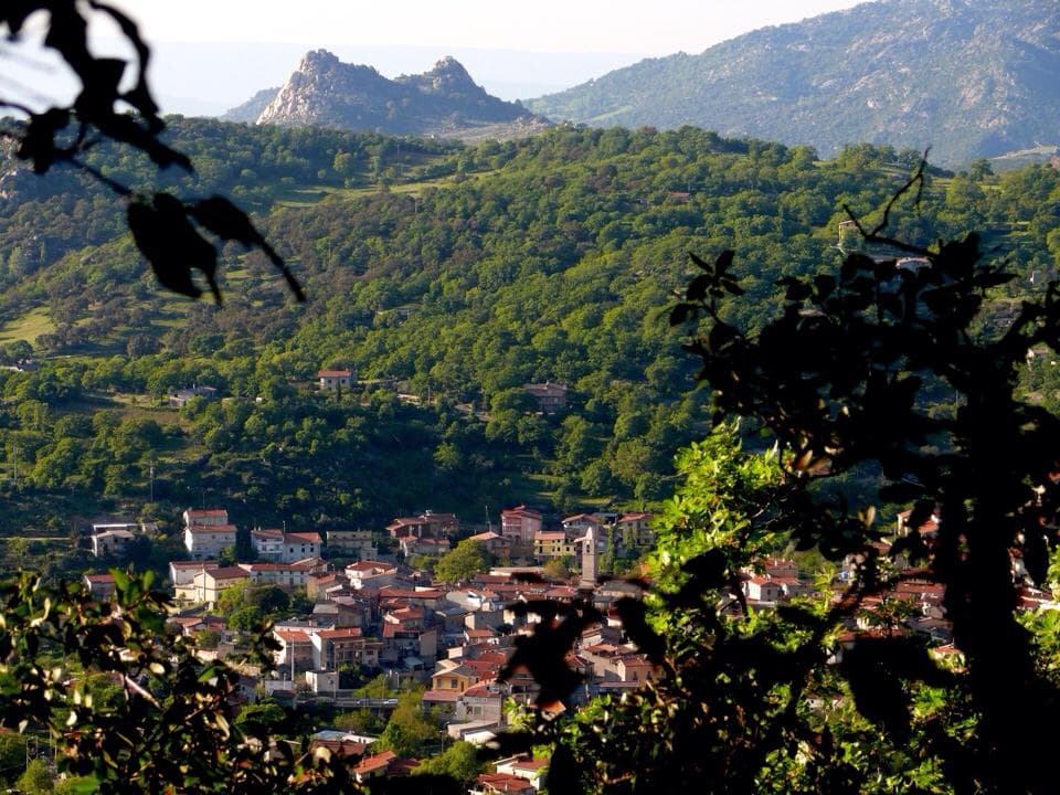 Comune di Ovodda
