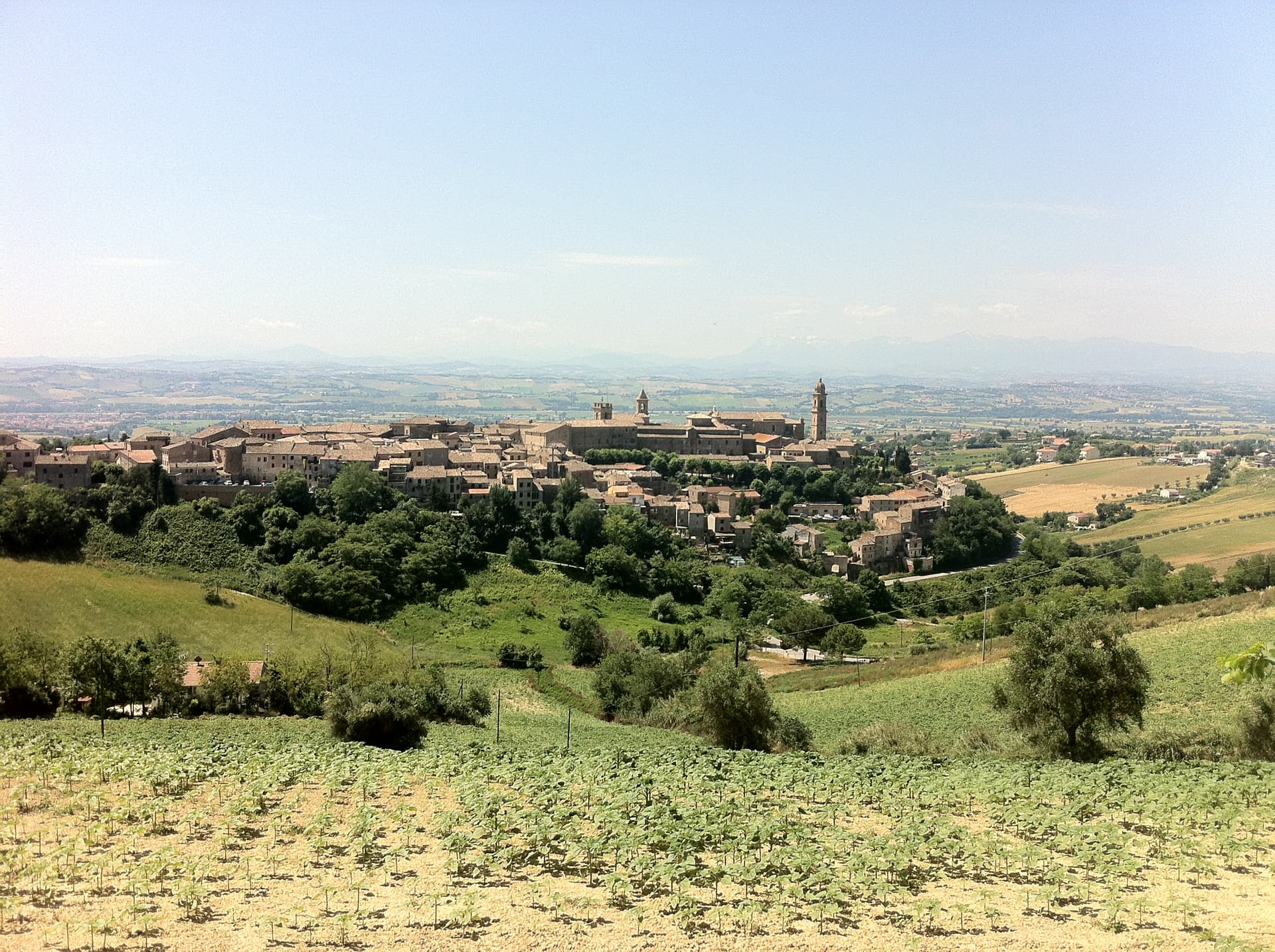 Comune di Morrovalle