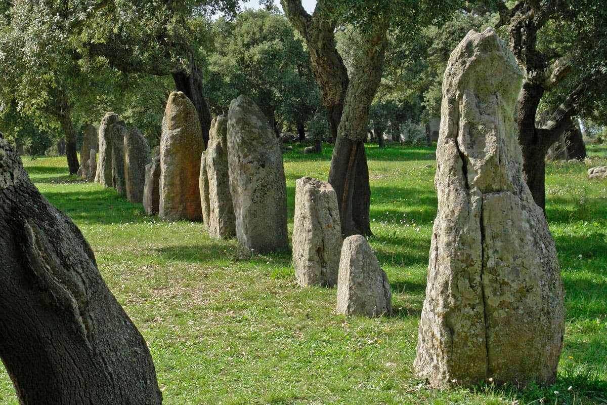 Comune di Goni