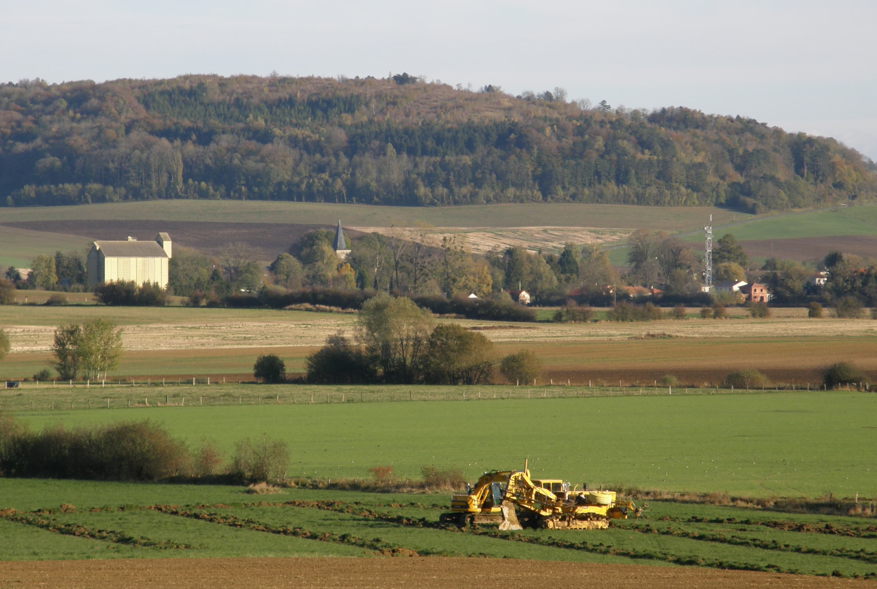 Comune di Campagna