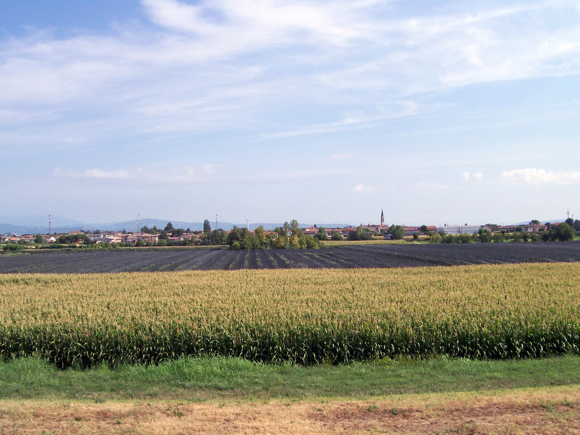 Comune di Albaredo d'Adige
