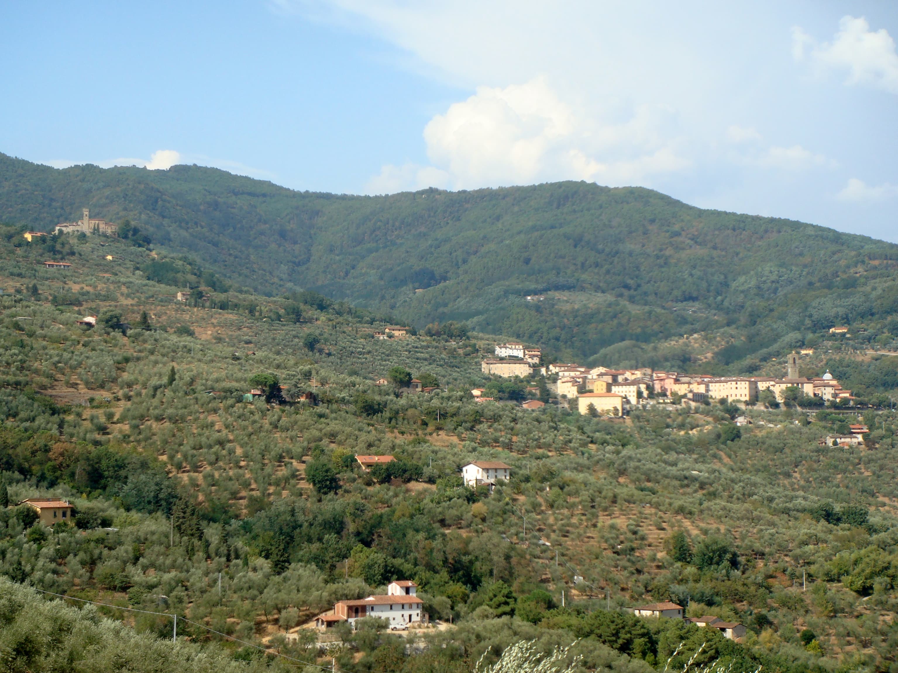 Comune di Massa e Cozzile