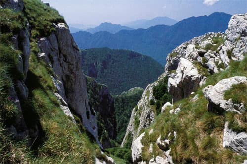Comune di San Cipriano Picentino
