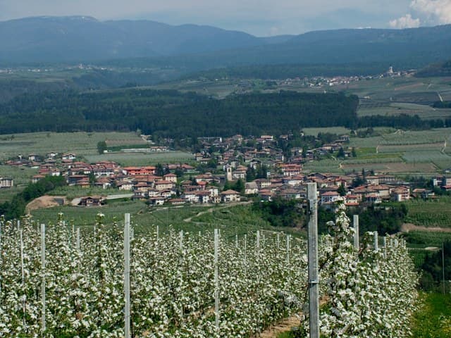 Comune di Predaia