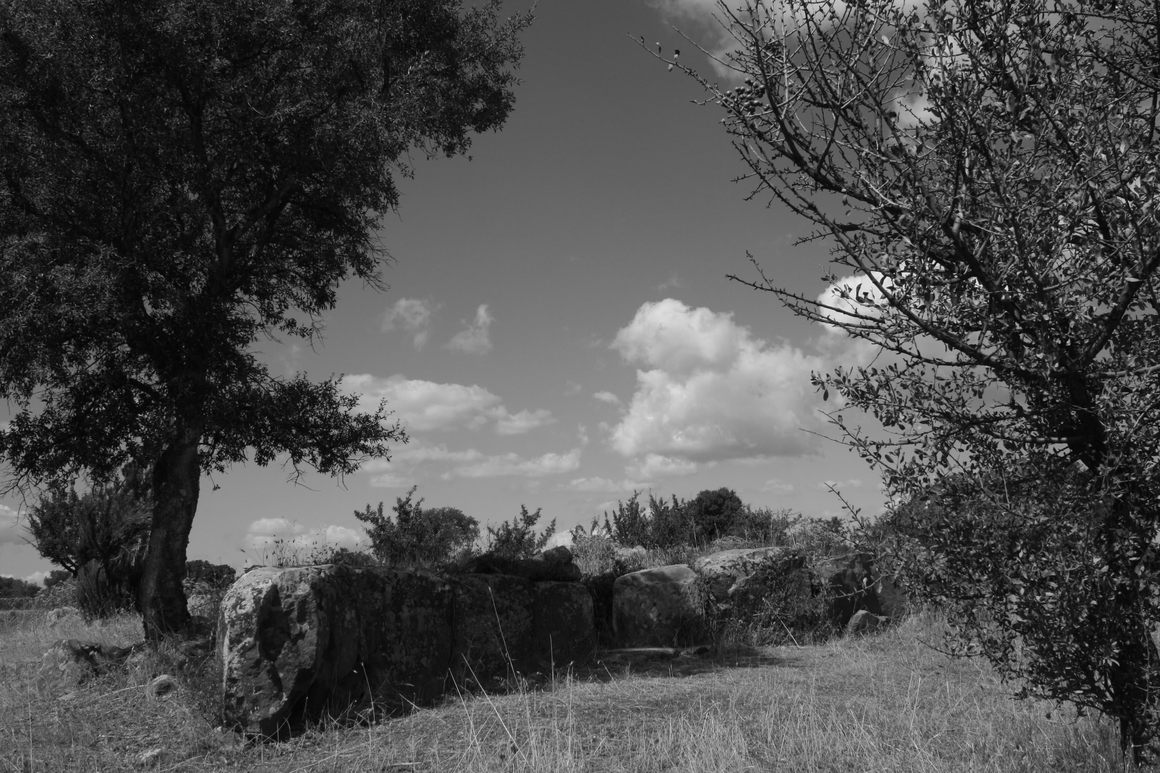 Comune di Samugheo