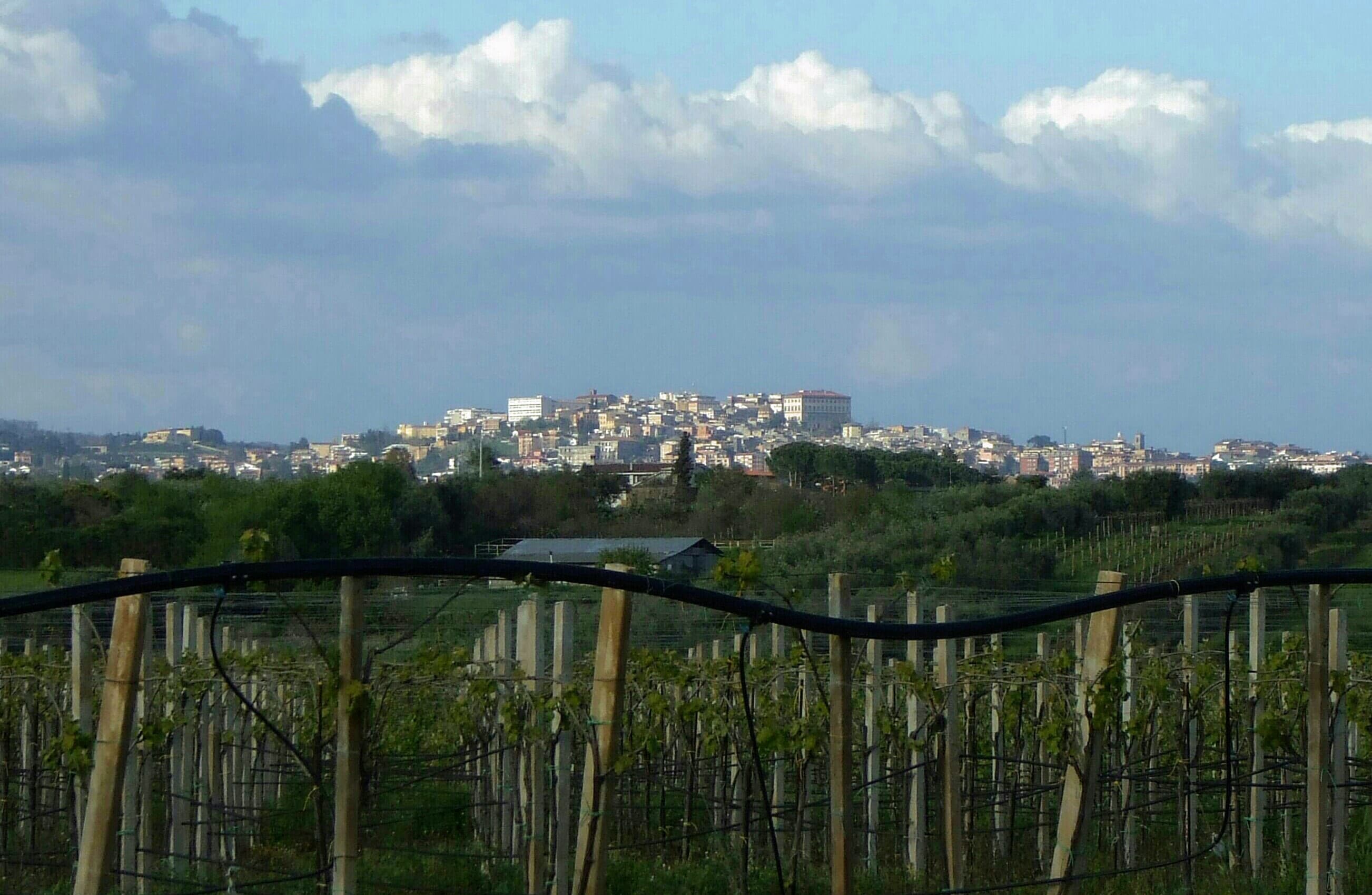 Comune di Velletri
