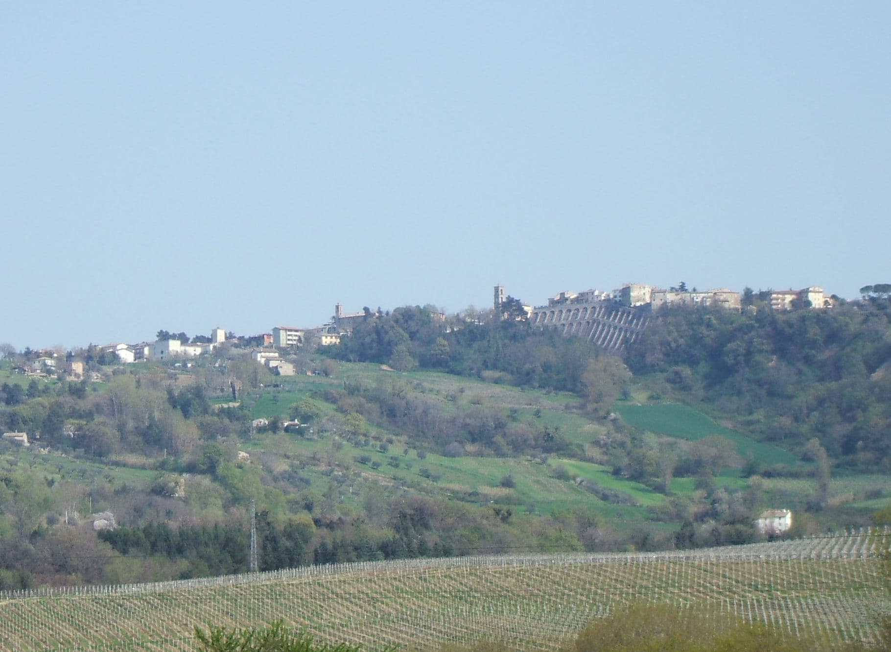 Comune di Maiolati Spontini
