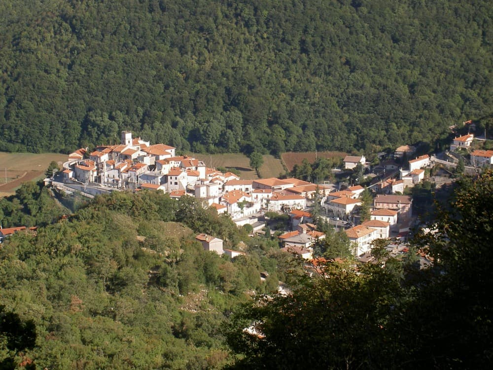 Comune di Viticuso
