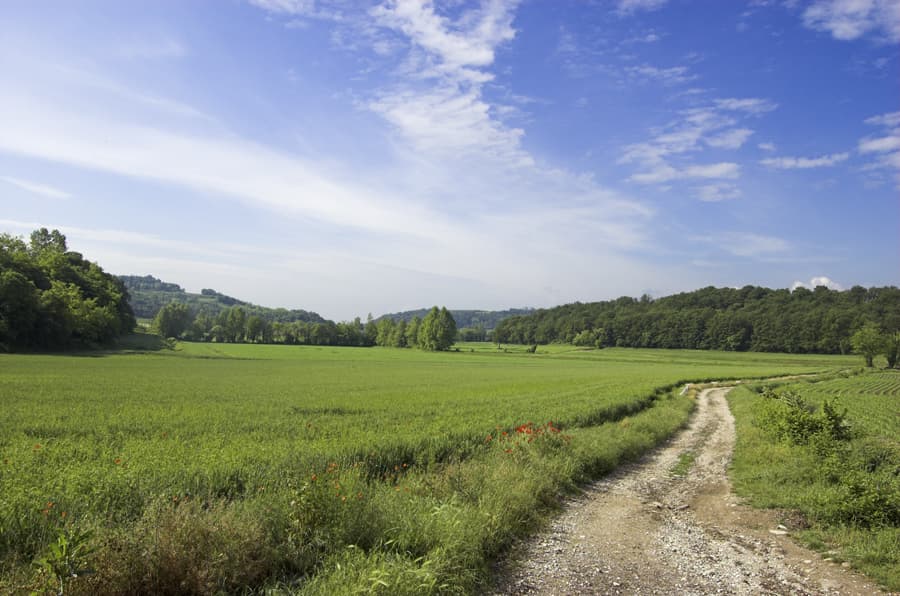 Comune di Sommacampagna