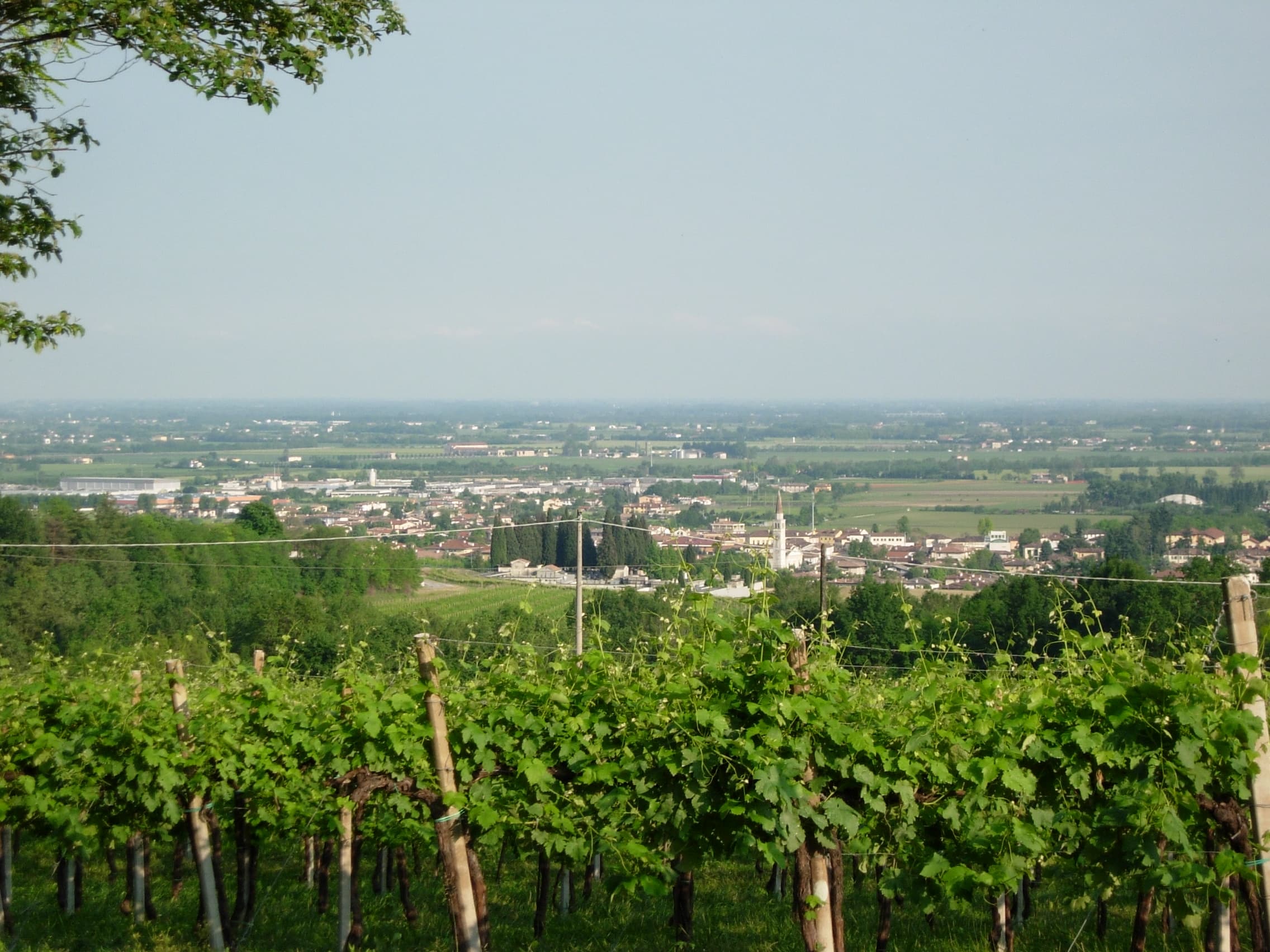 Comune di Susegana