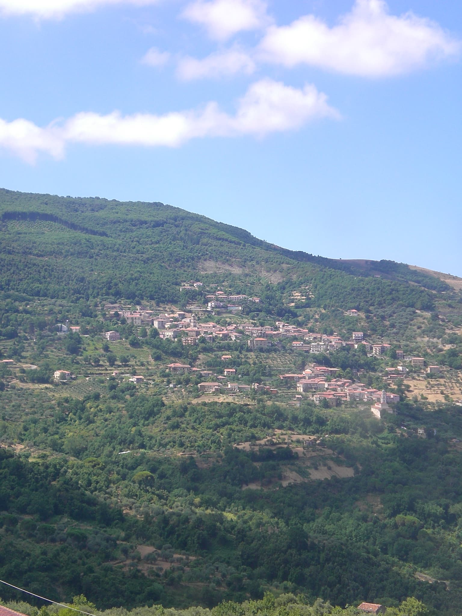 Comune di Perdifumo