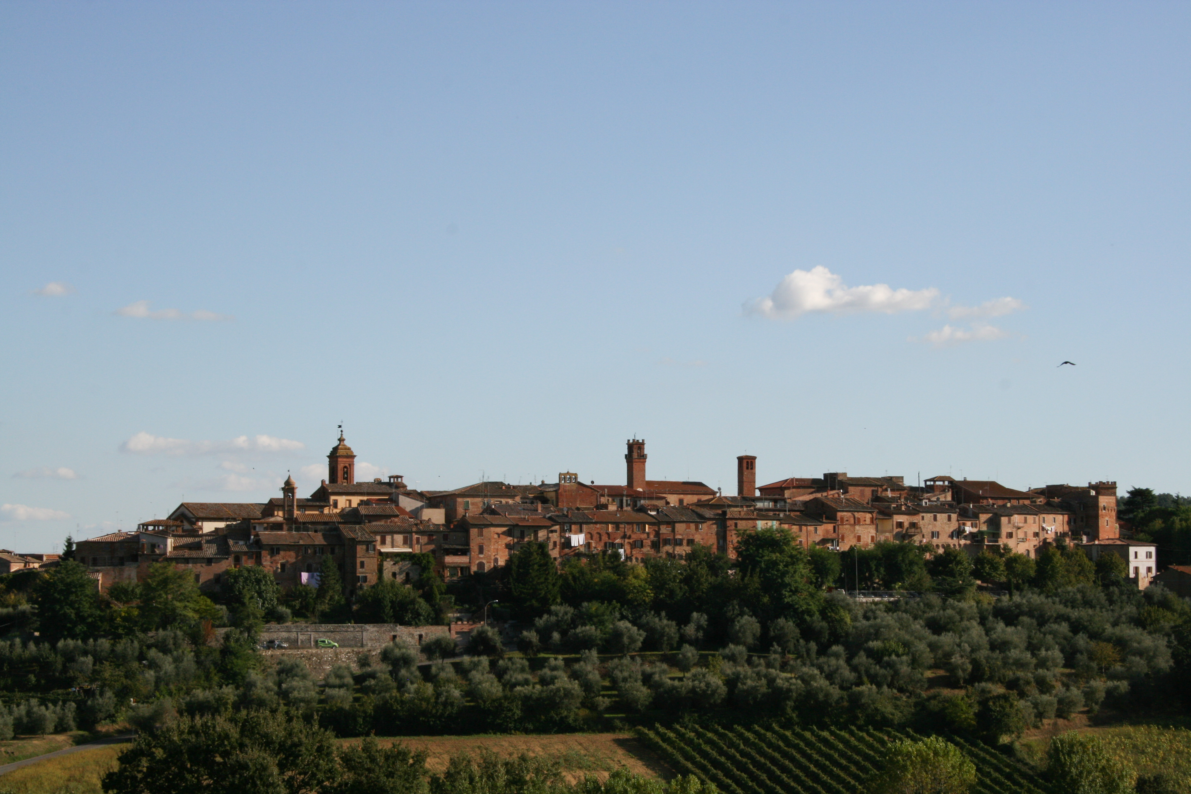 Comune di Torrita di Siena