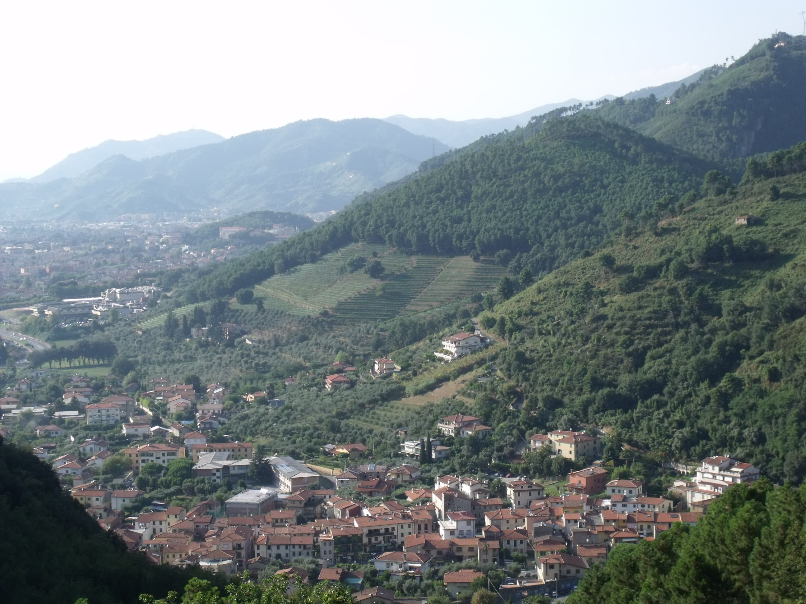 Comune di Montignoso
