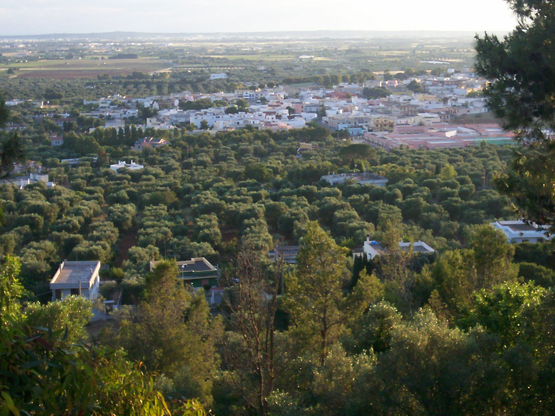 Comune di Casarano