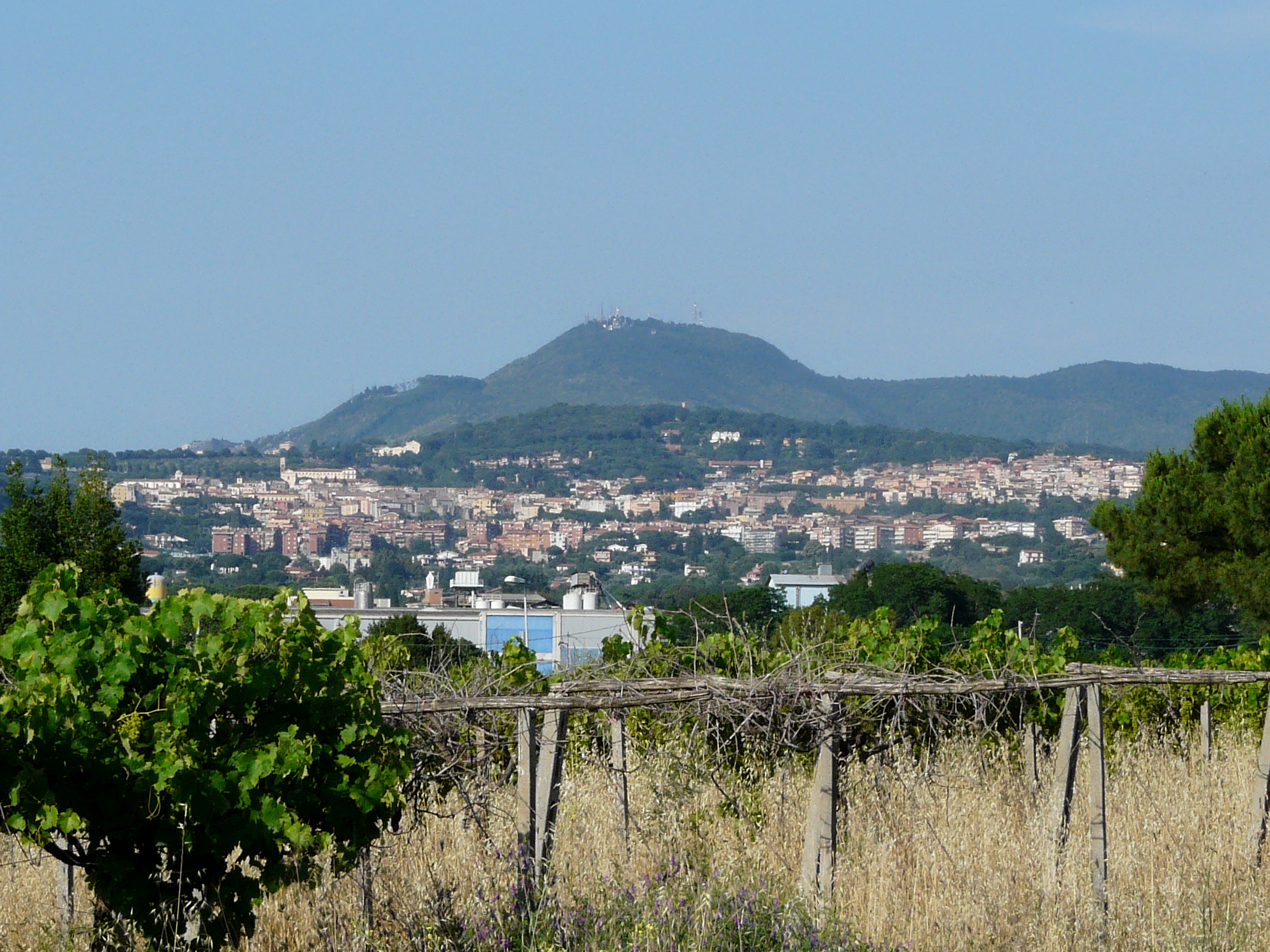 Comune di Albano Laziale