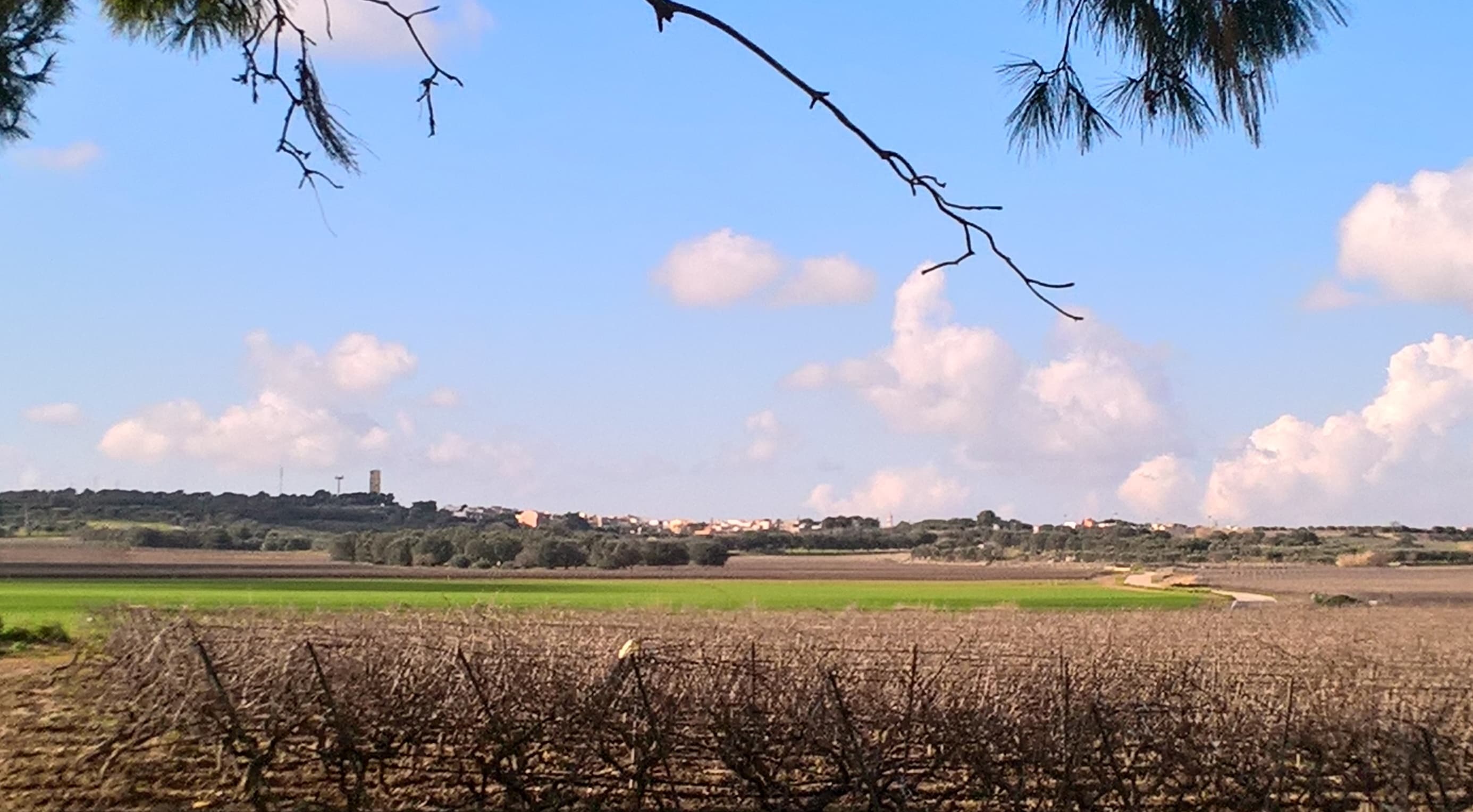 Comune di Roccaforzata