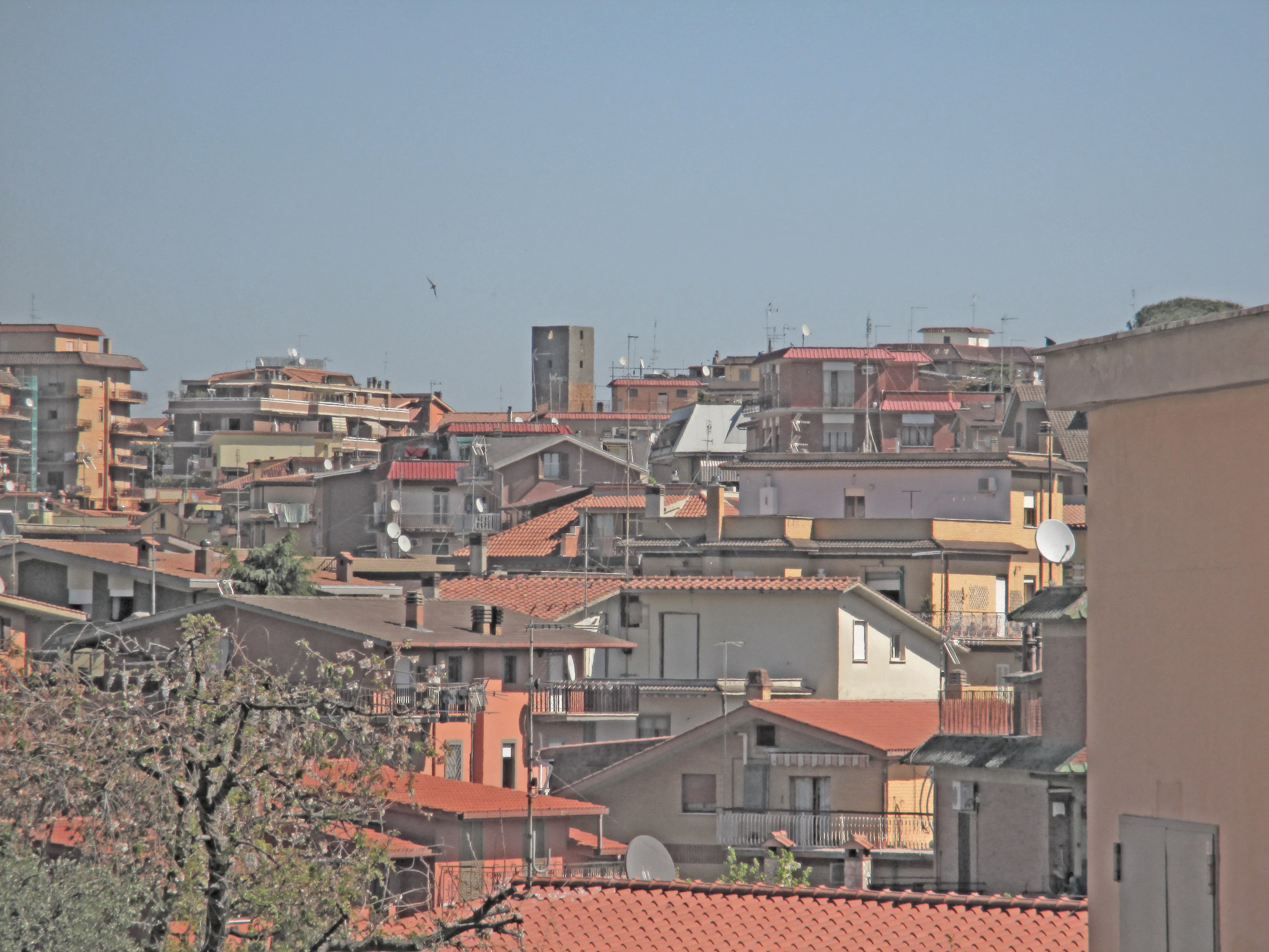 Comune di Fonte Nuova