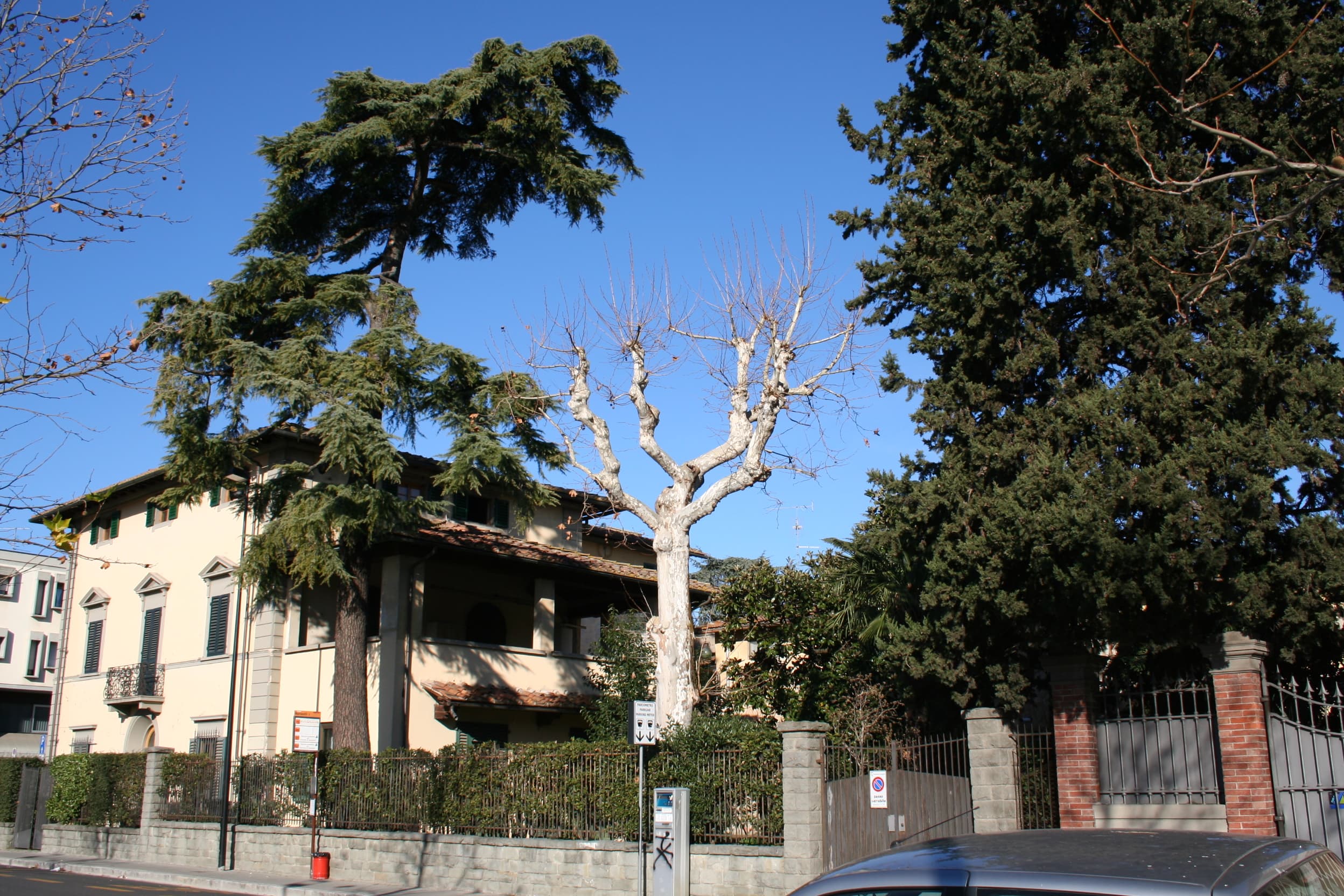 Comune di Scandicci