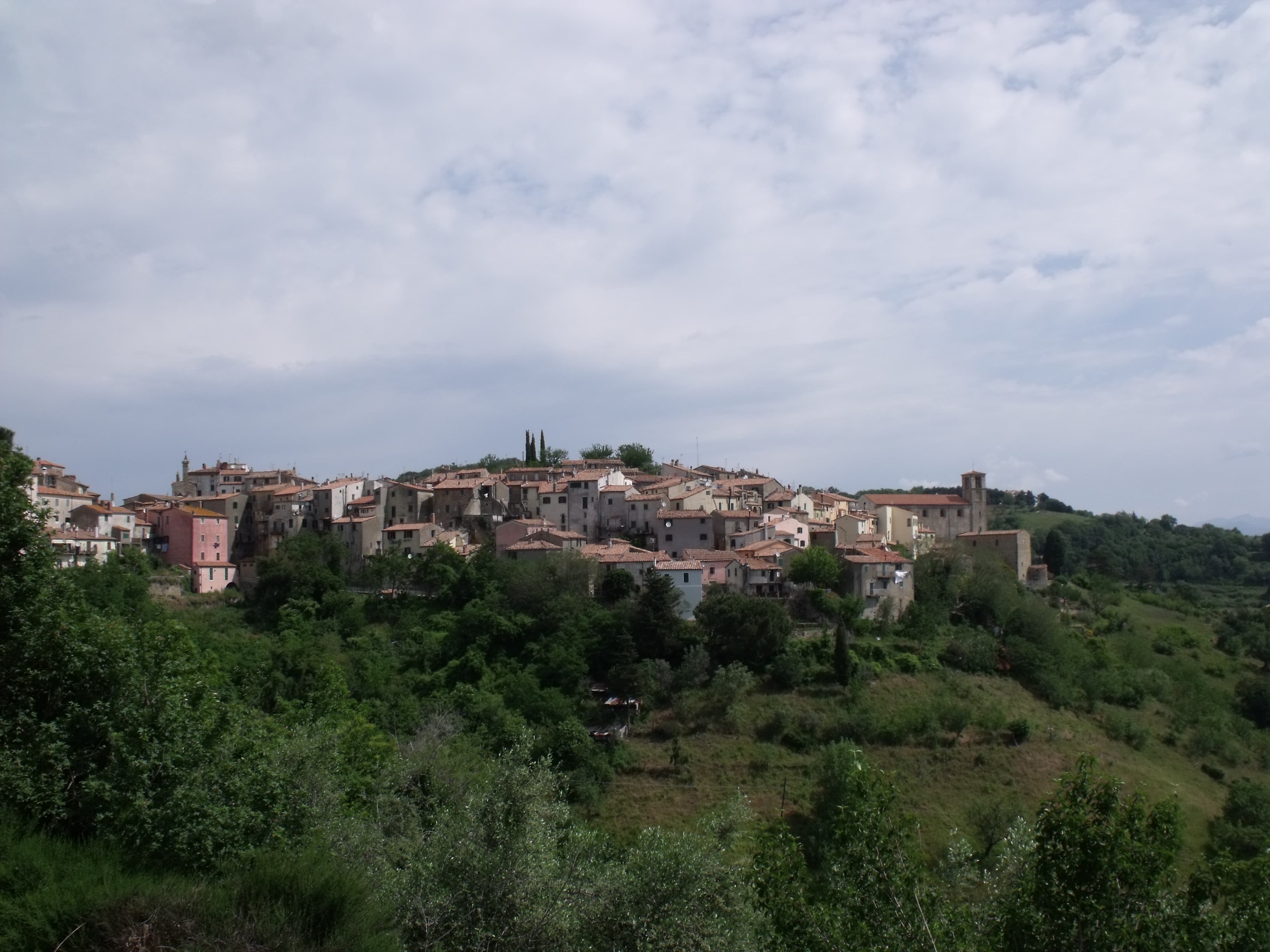 Comune di Scansano