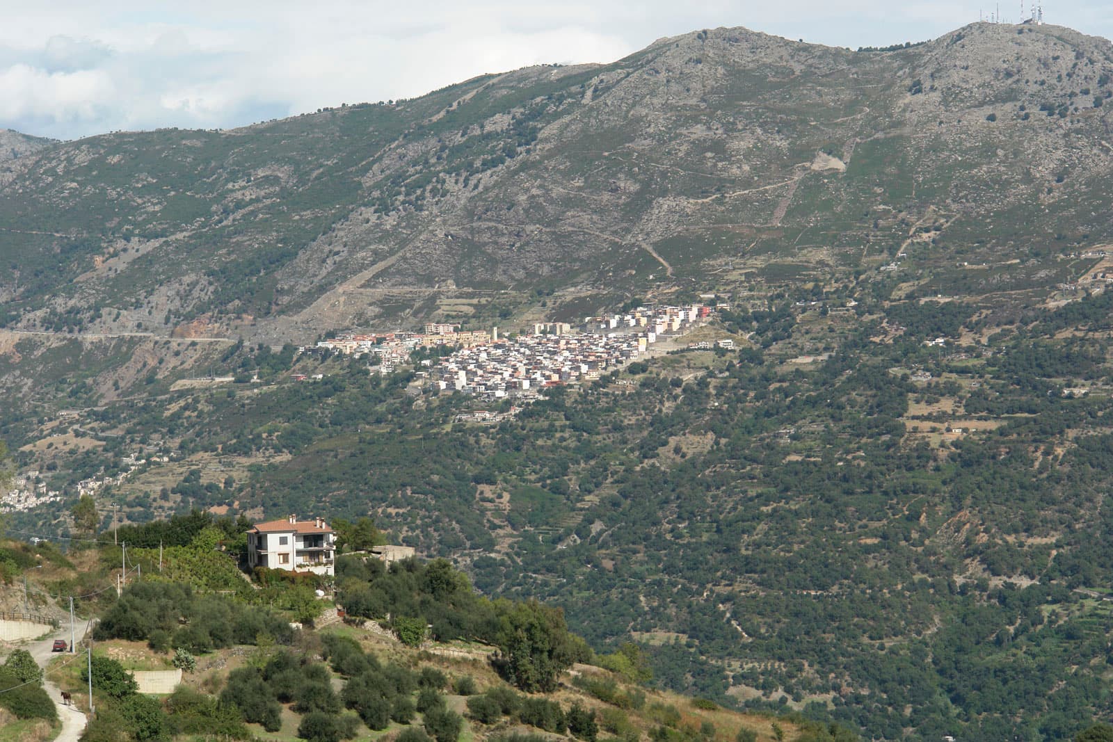 Comune di Gairo