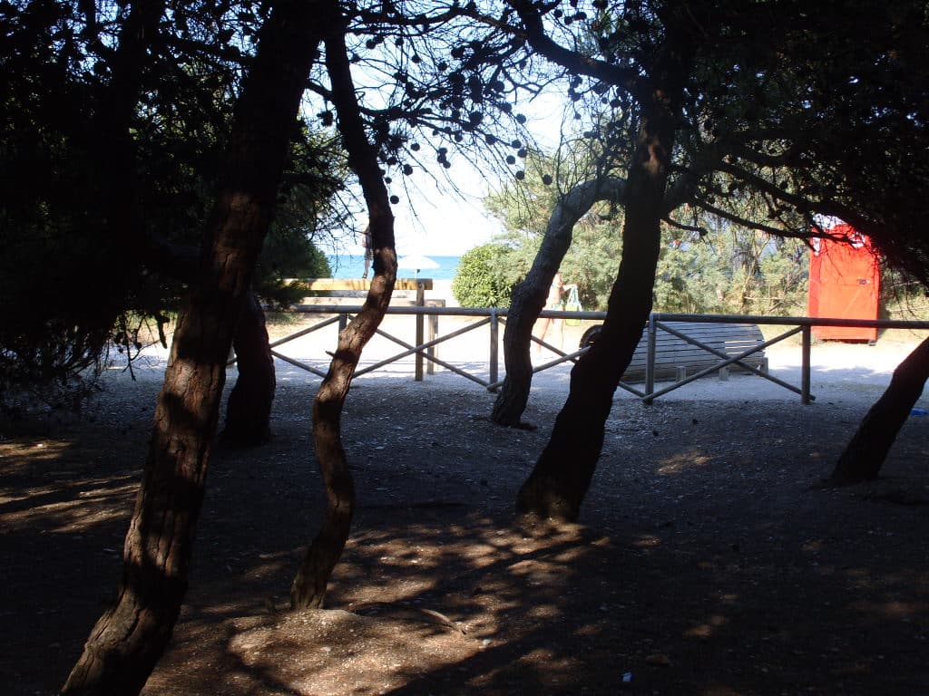 Comune di Porto Sant'Elpidio