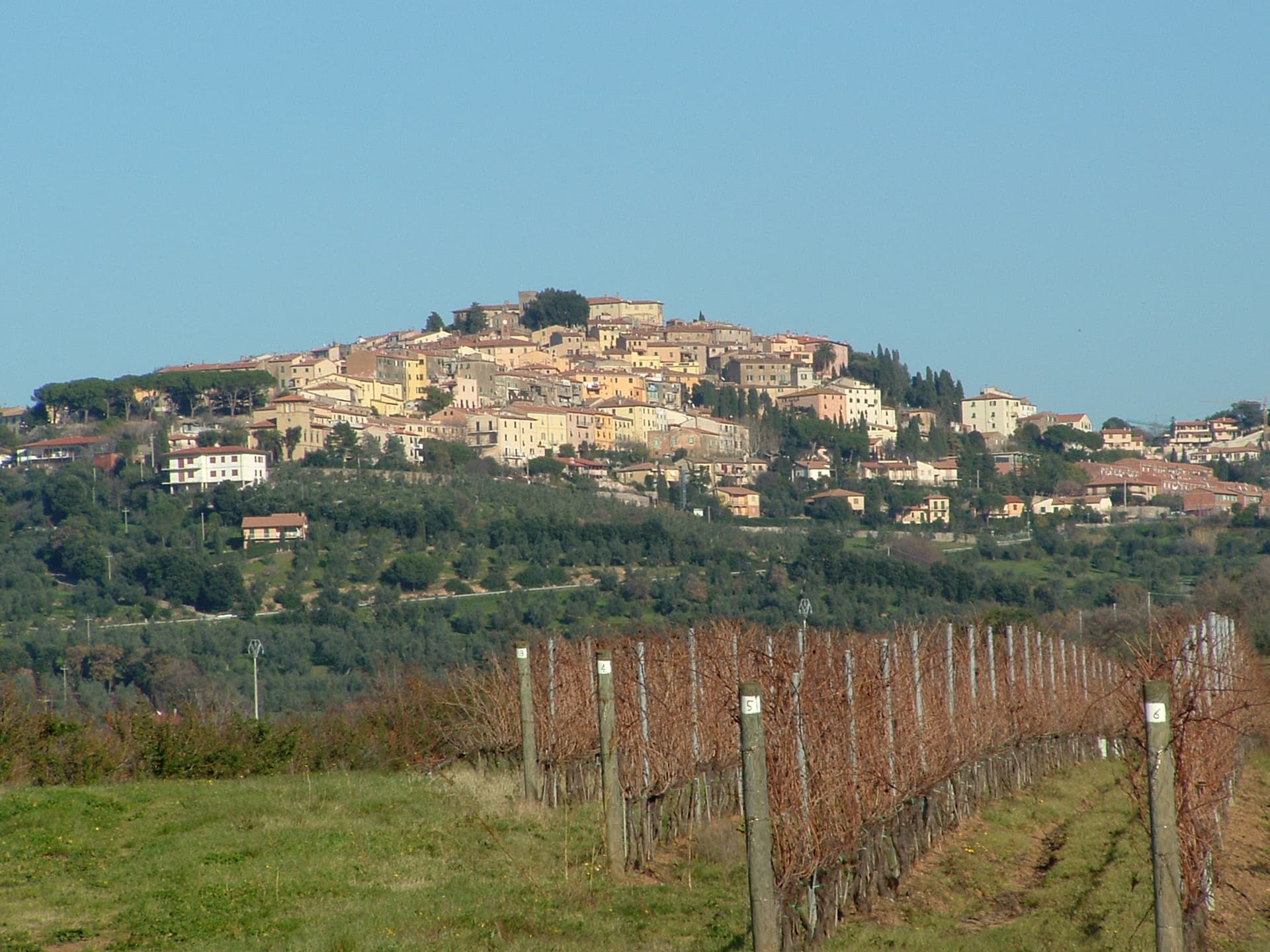 Comune di Castagneto Carducci