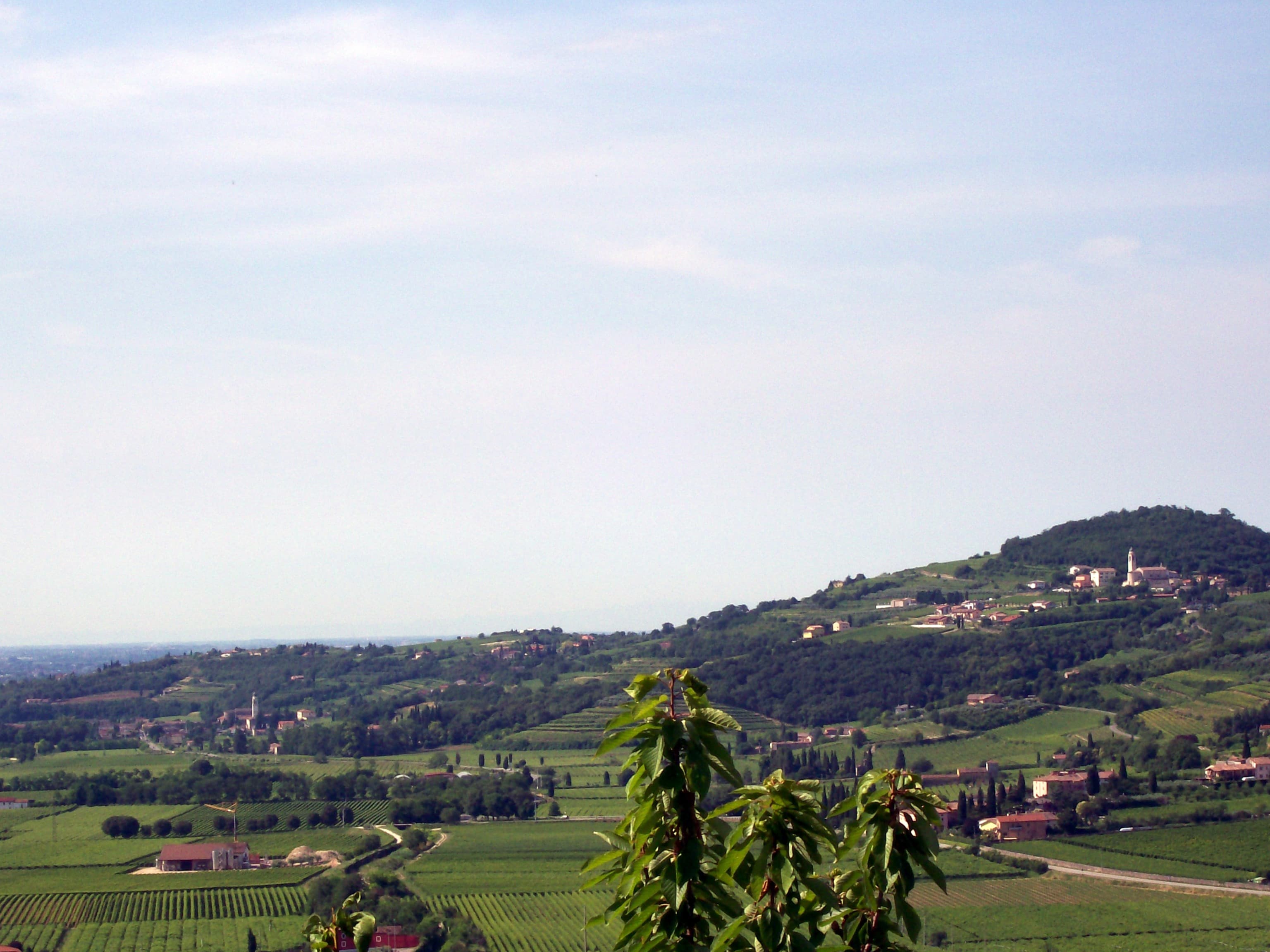 Comune di Lavagno