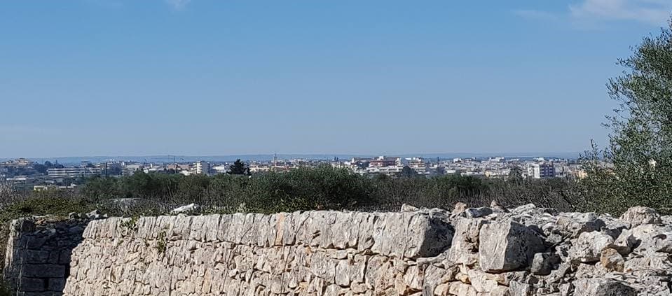 Comune di Turi