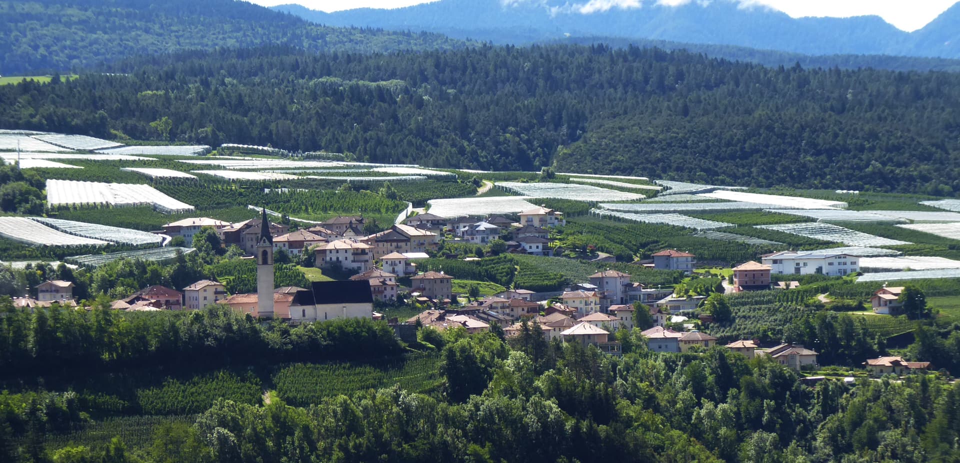 Comune di Dambel