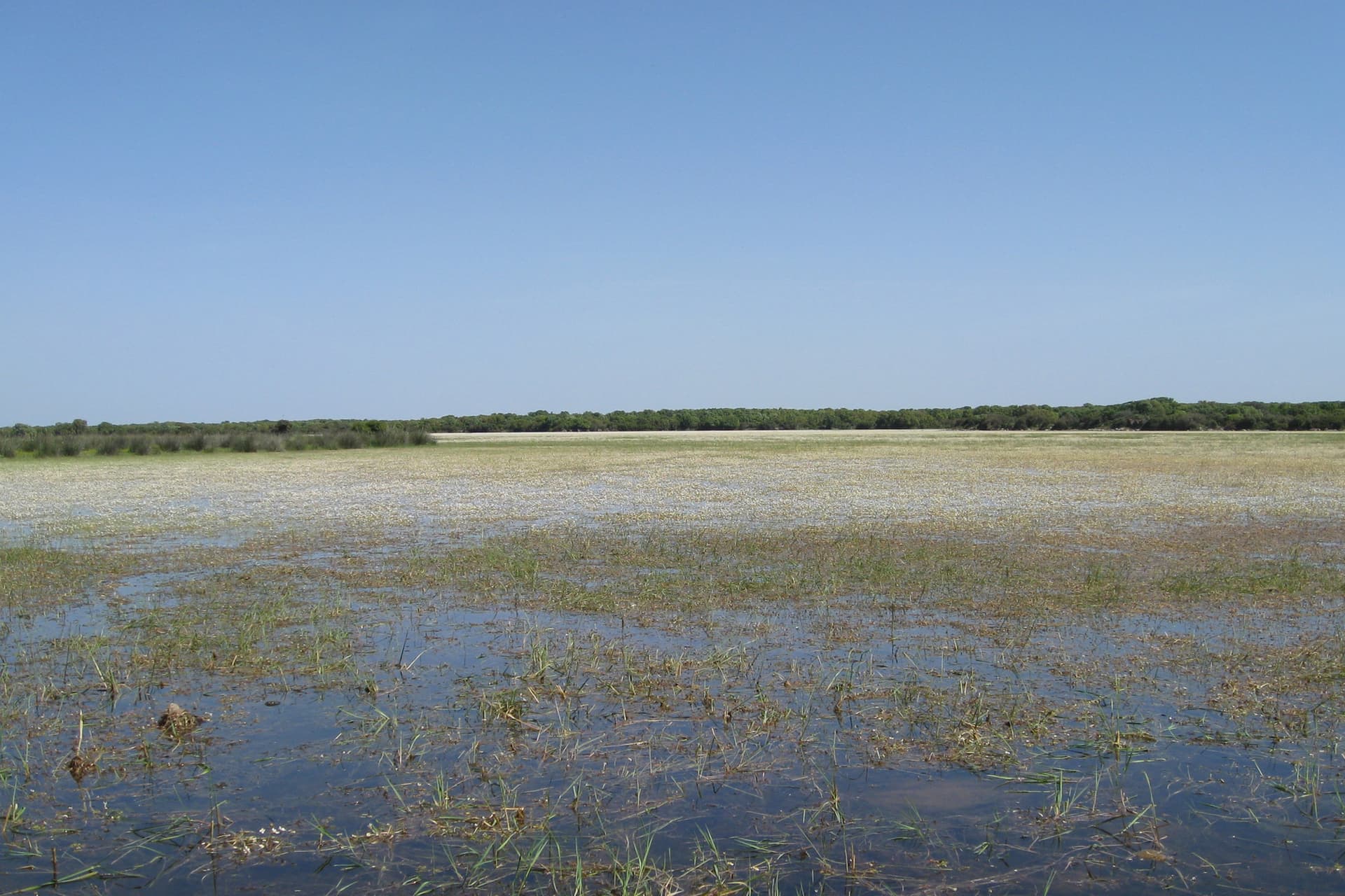 Comune di Palmas Arborea
