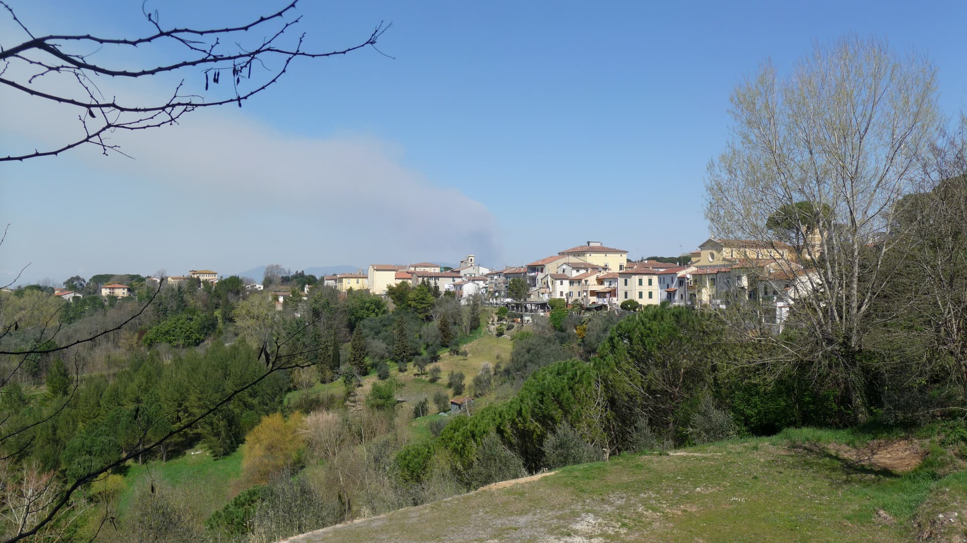 Comune di Fauglia